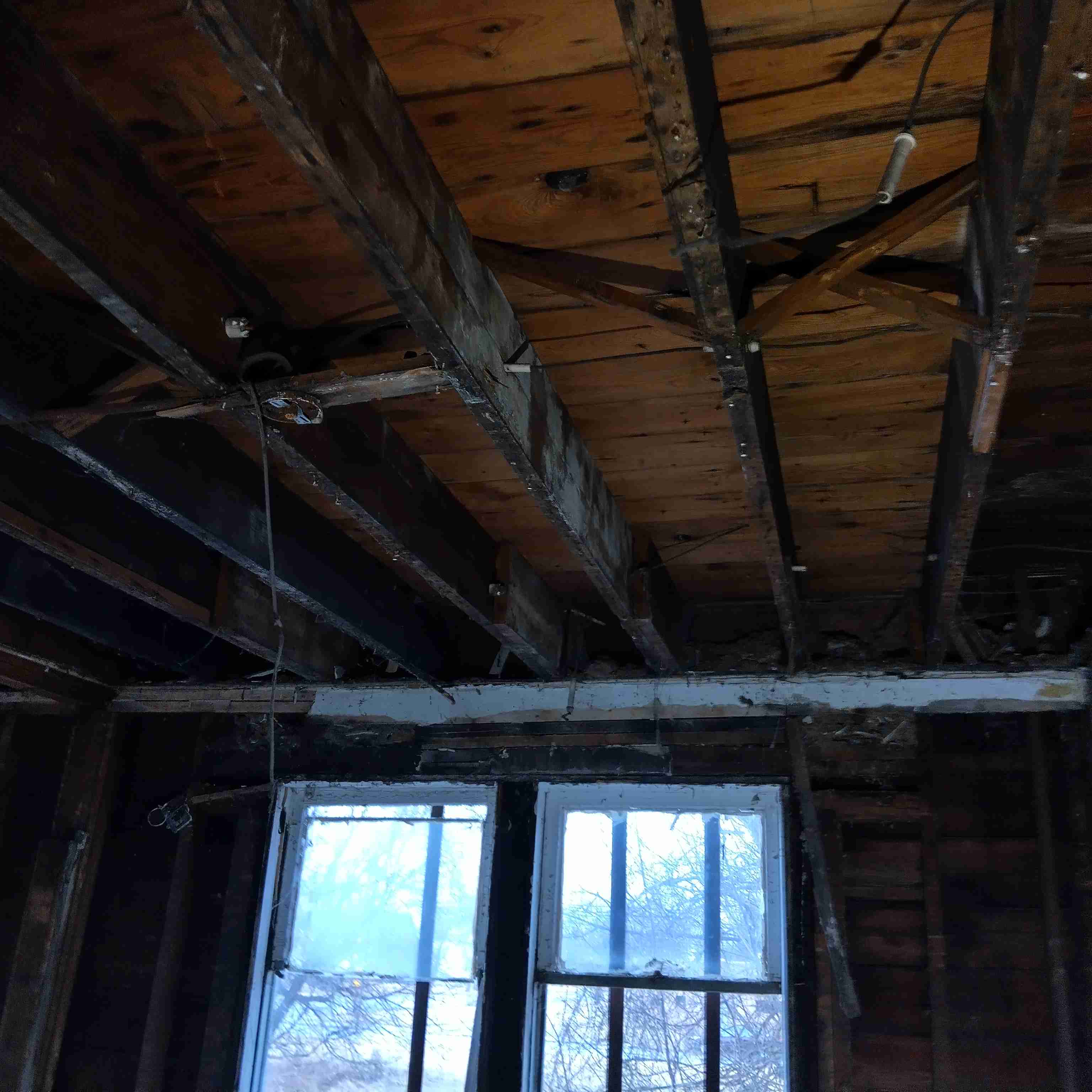 IMG_20250305_124741_HDR.jpg