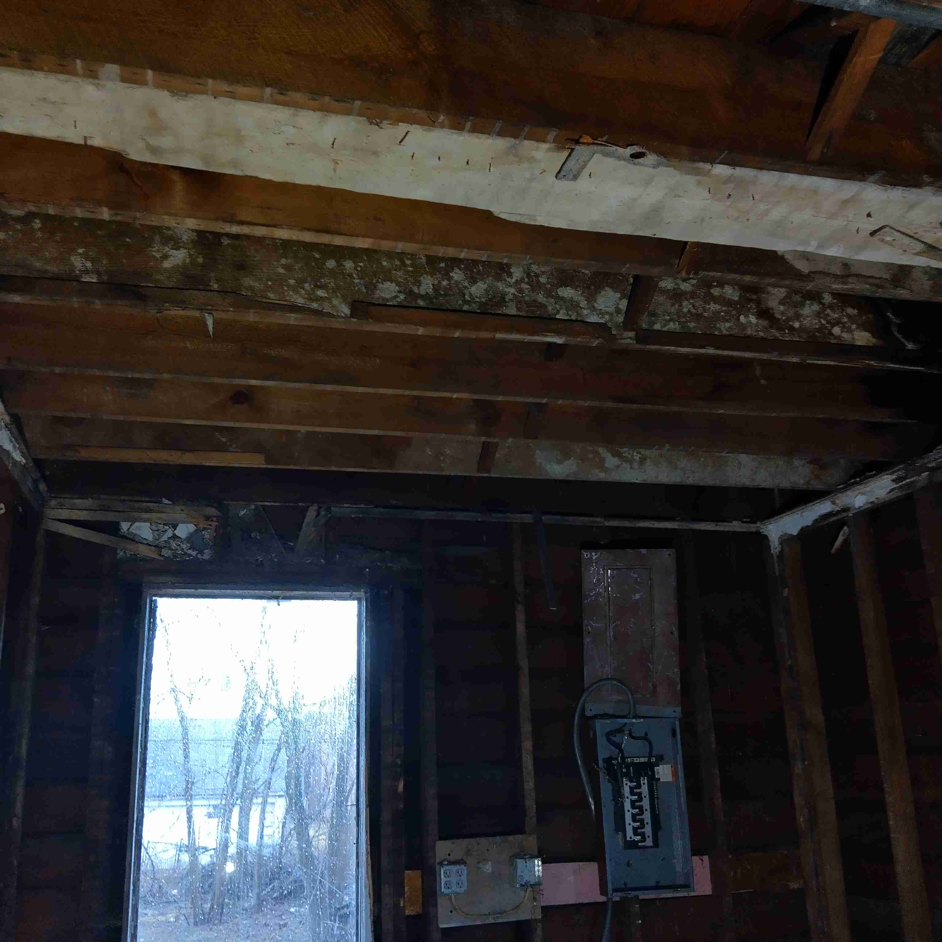 IMG_20250305_124927_HDR.jpg