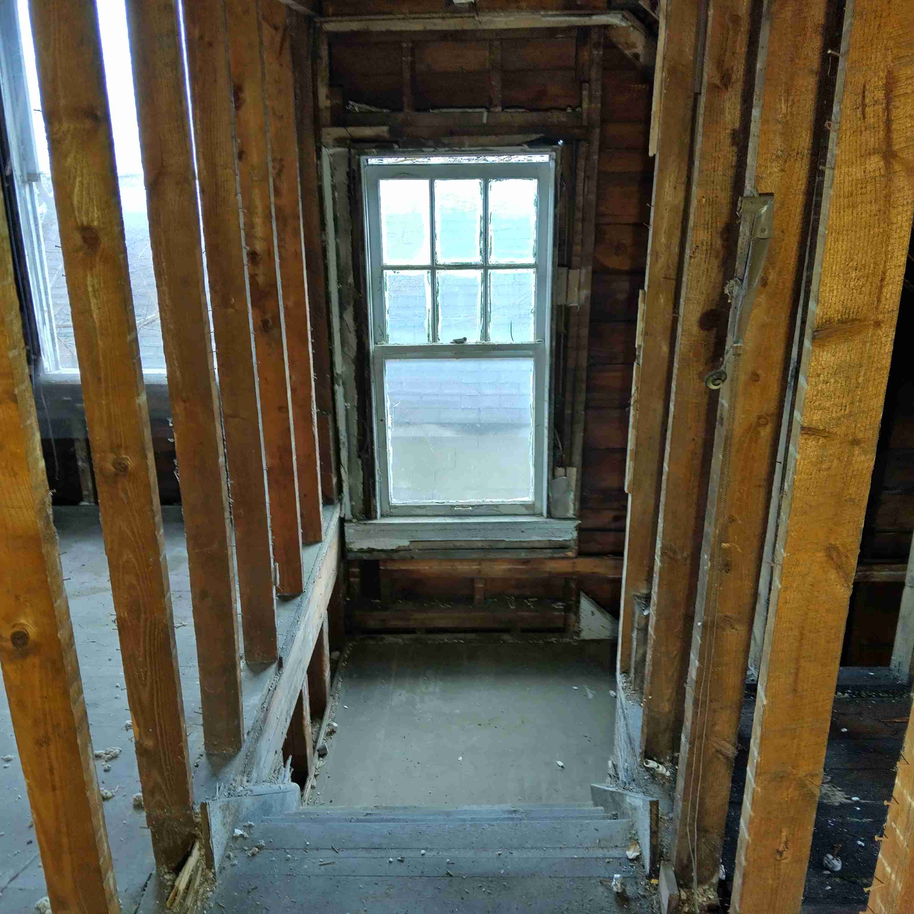 IMG_20250305_125256_HDR.jpg