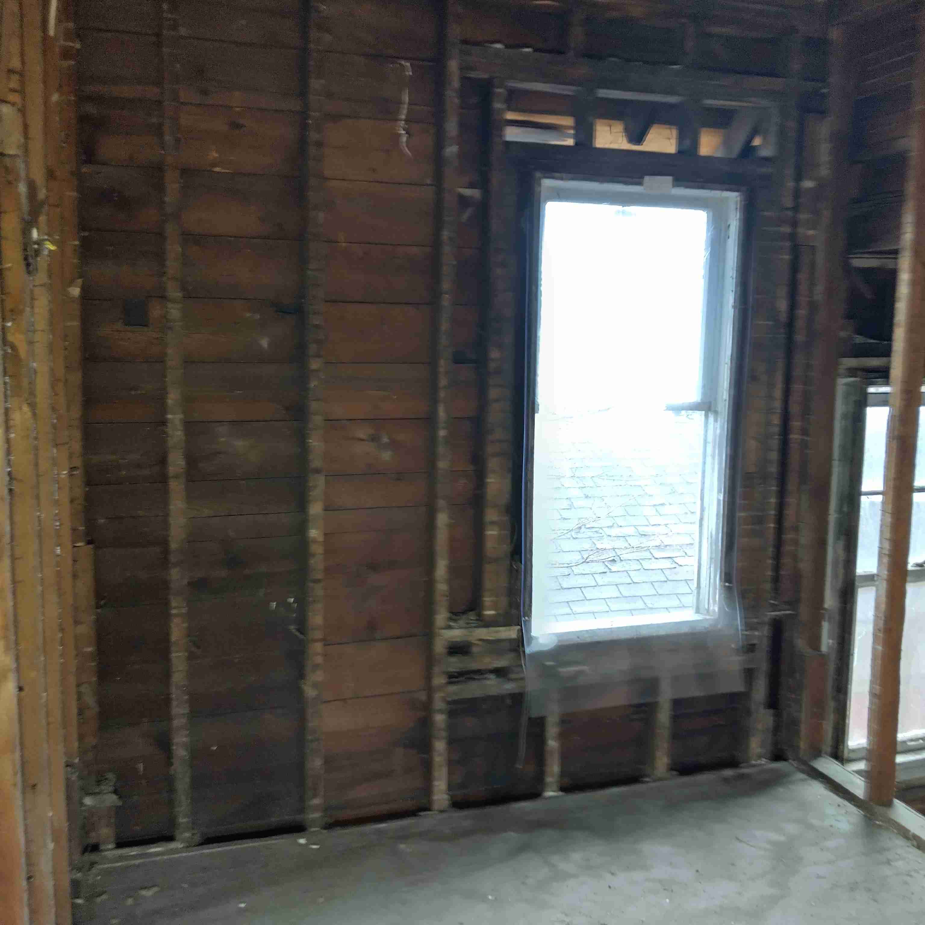 IMG_20250305_125354_HDR.jpg