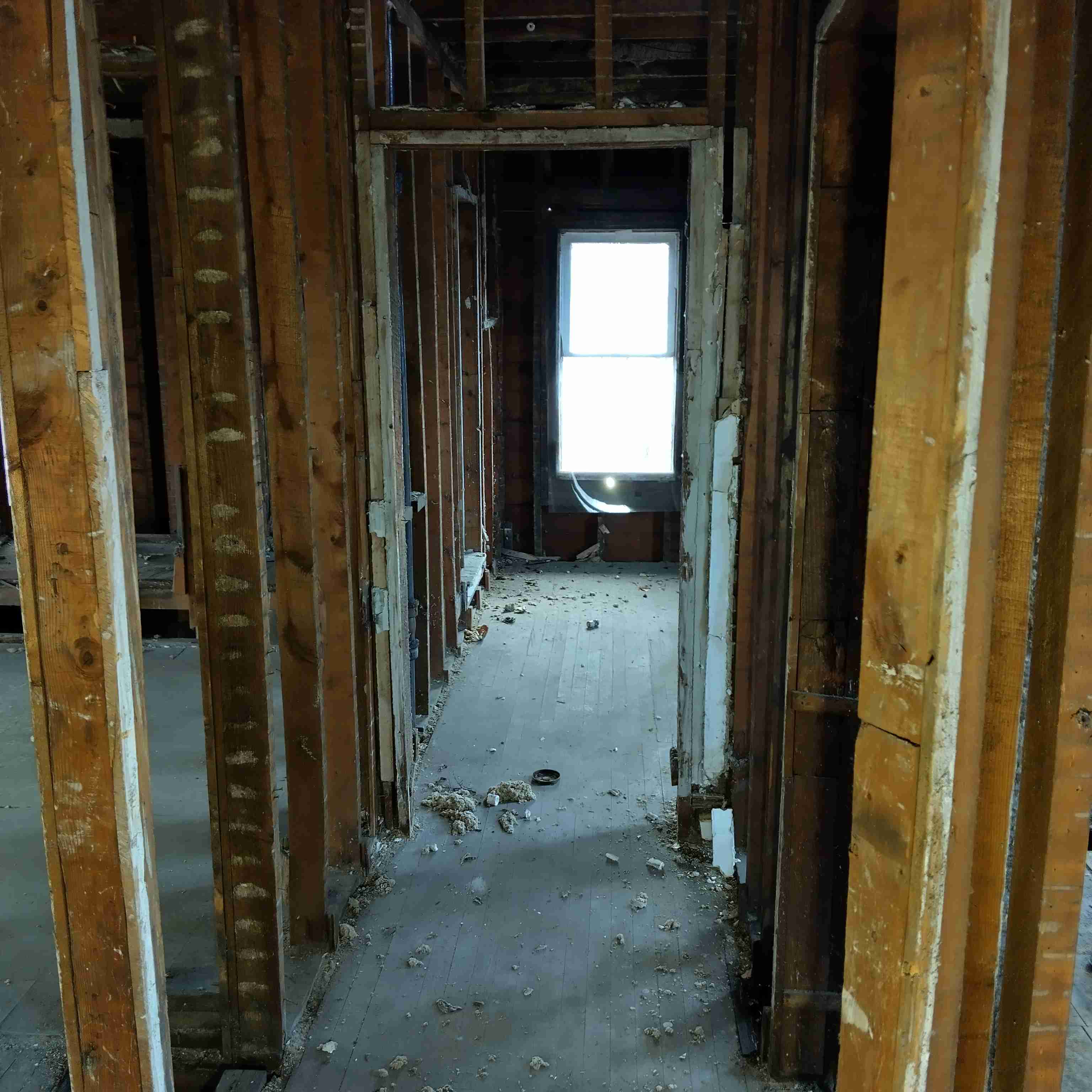 IMG_20250305_125434_HDR.jpg