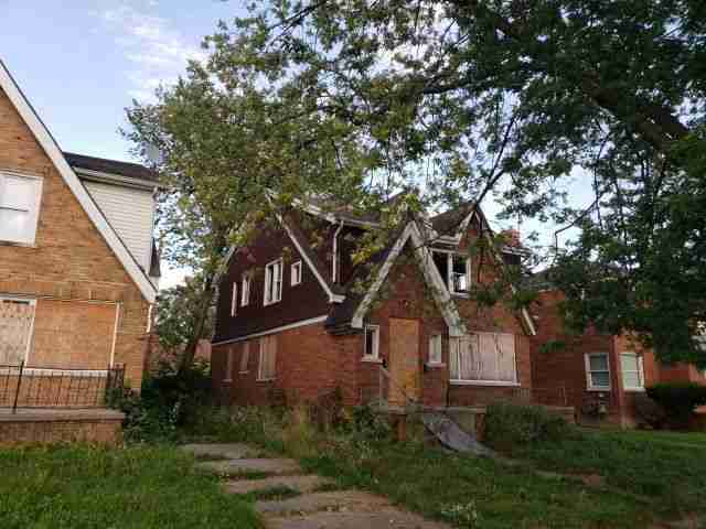 Debris_Removal__Work_Before__1.jpg