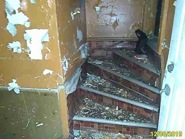 Interior_Property_Inspection__54.jpg