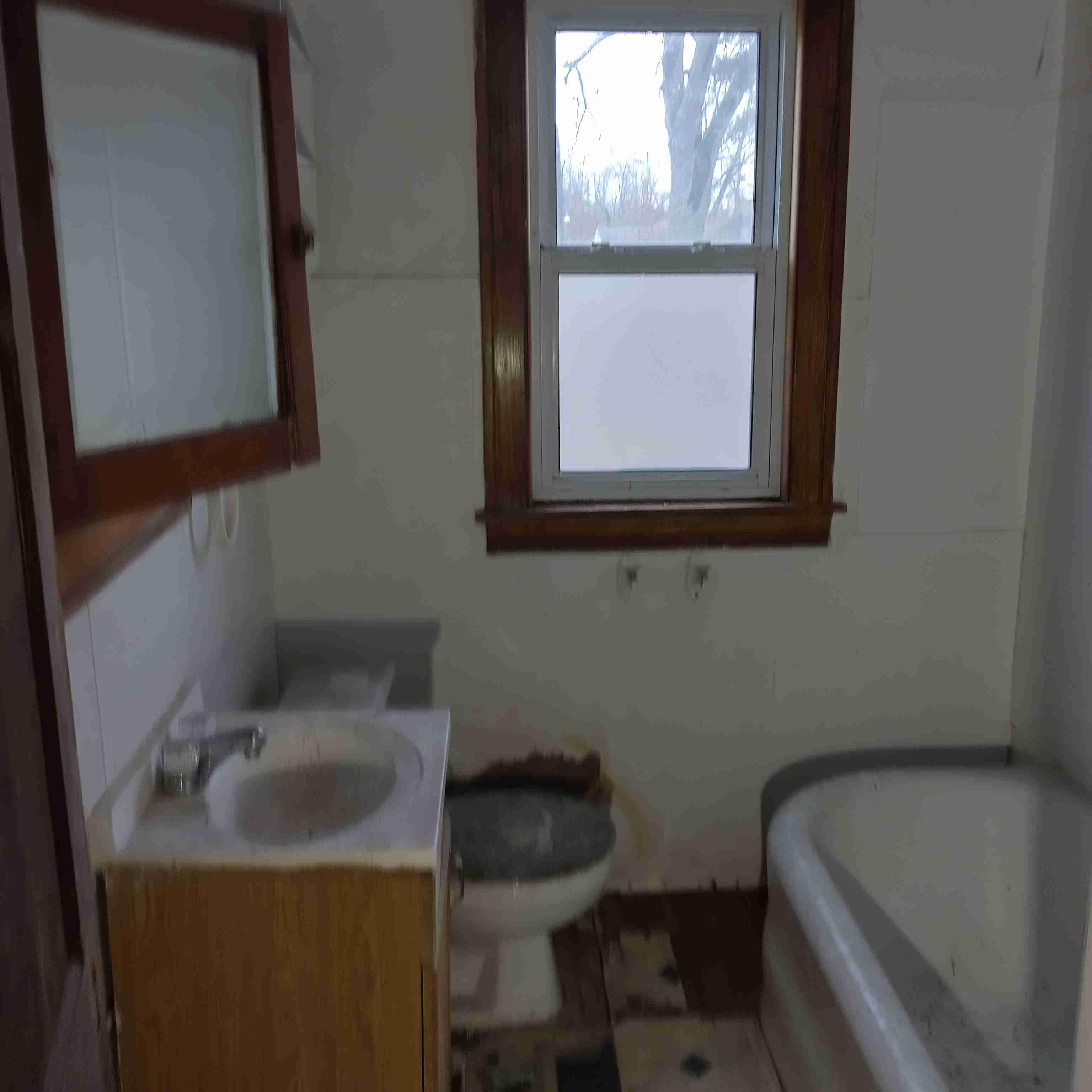 IMG_20250227_112212_HDR.jpg