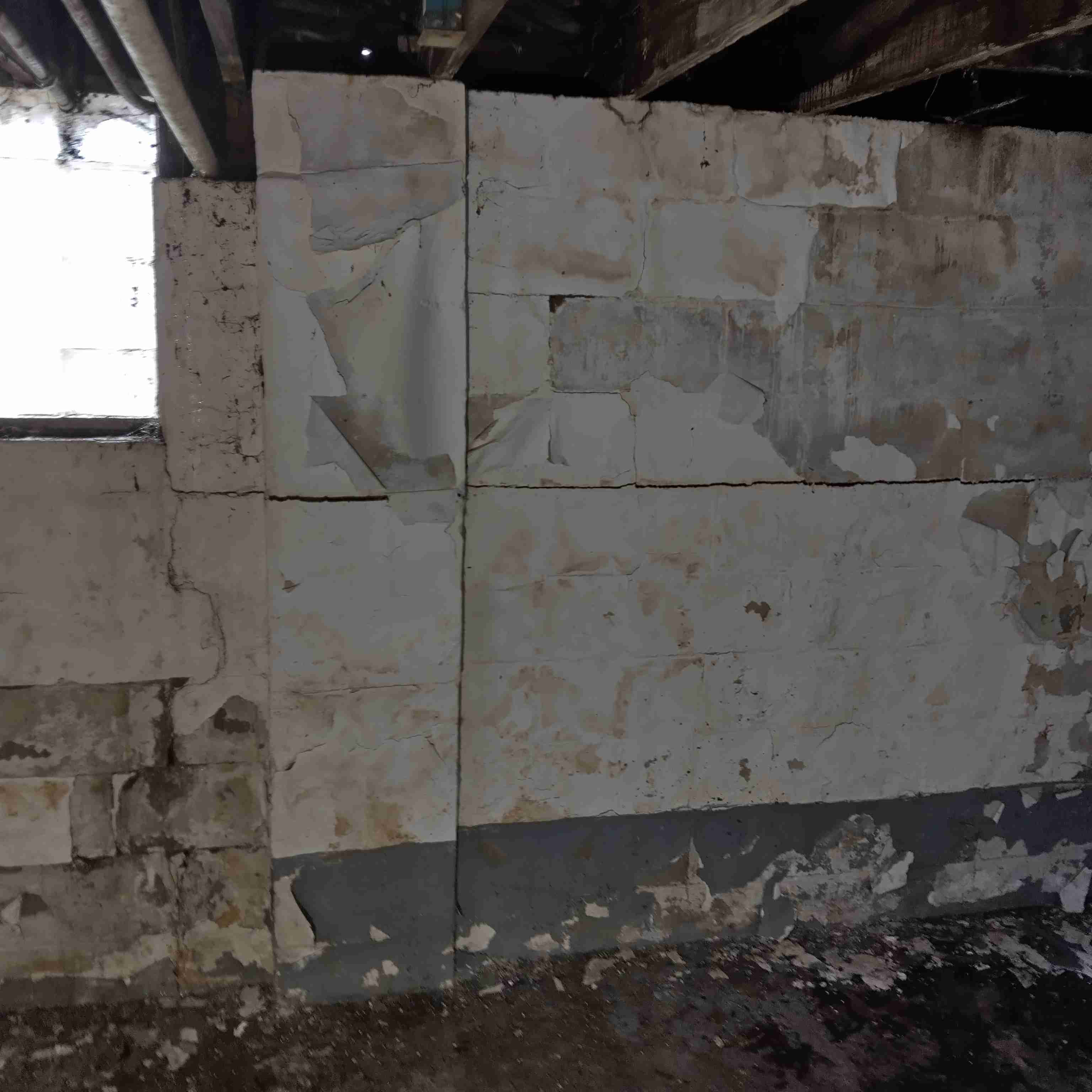 IMG_20250227_112735_HDR.jpg