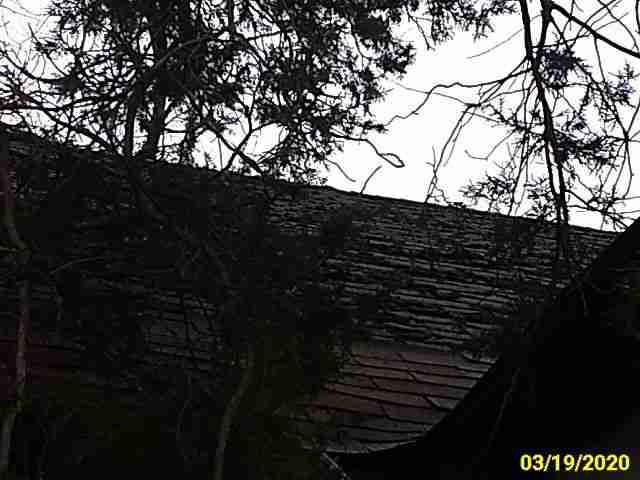 Roof_Conditions__5.jpg