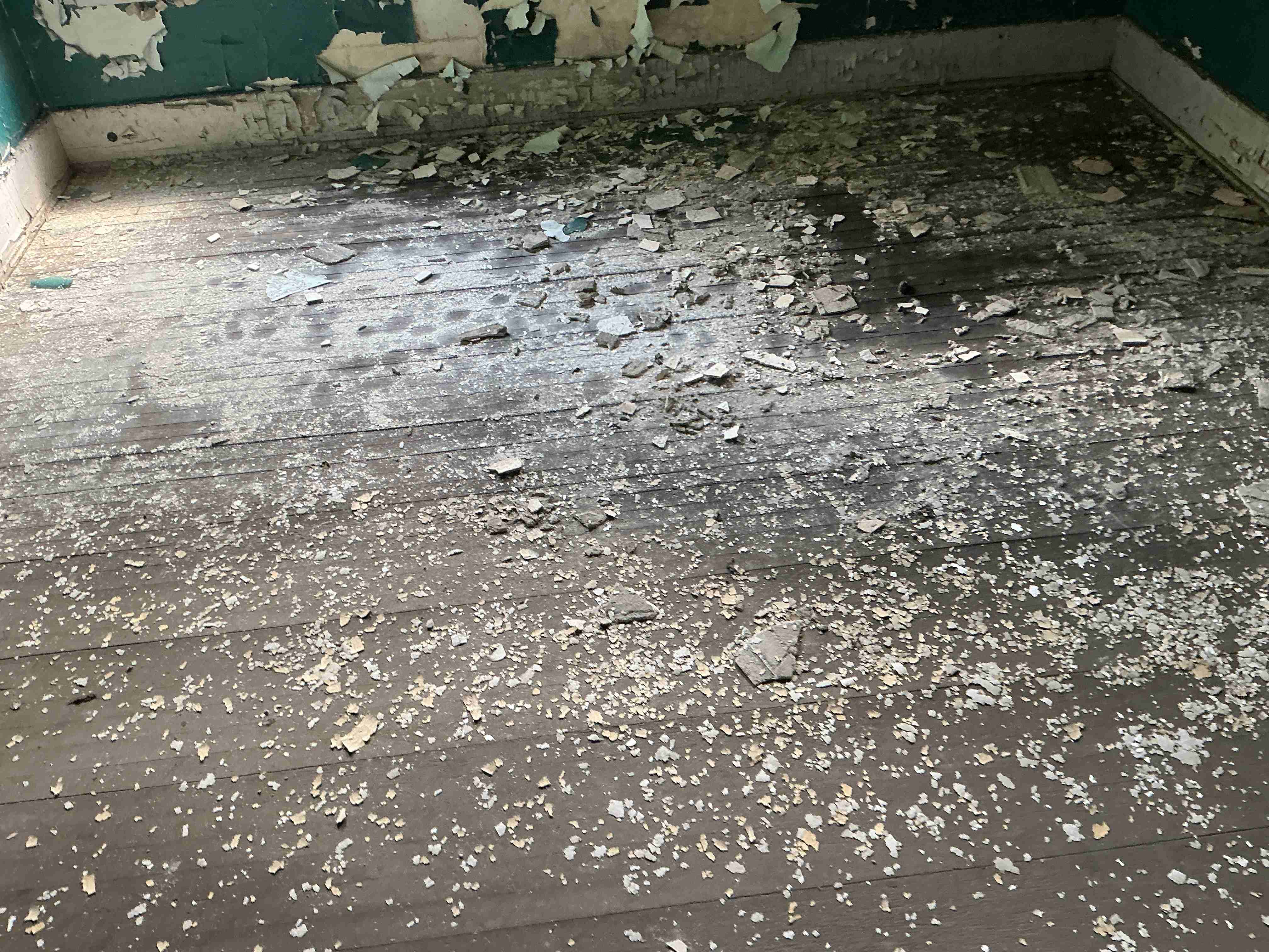 IMG_7709.jpeg