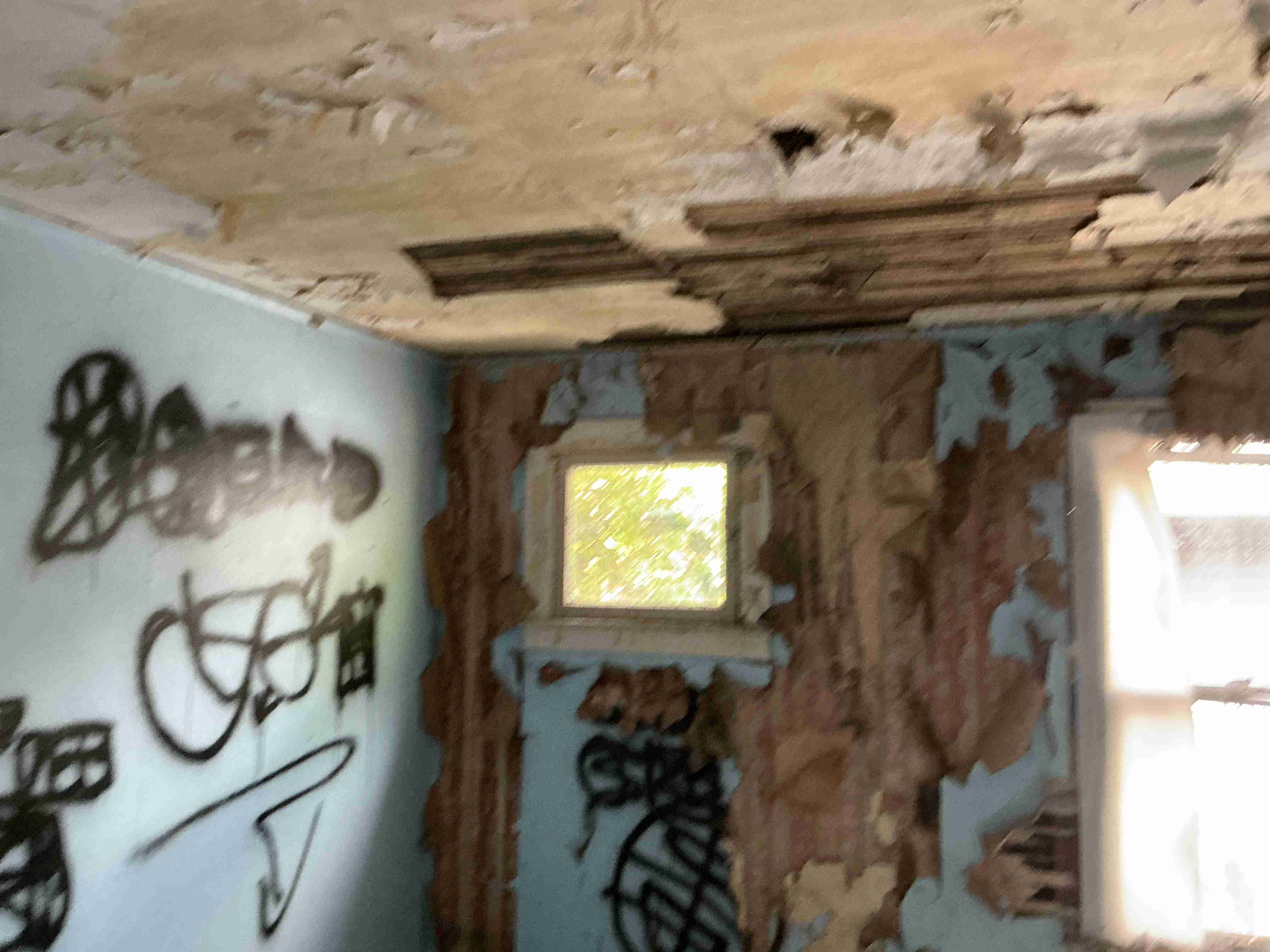 IMG_7748.jpeg
