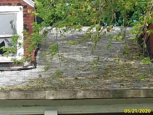 Roof_Conditions__2.jpg