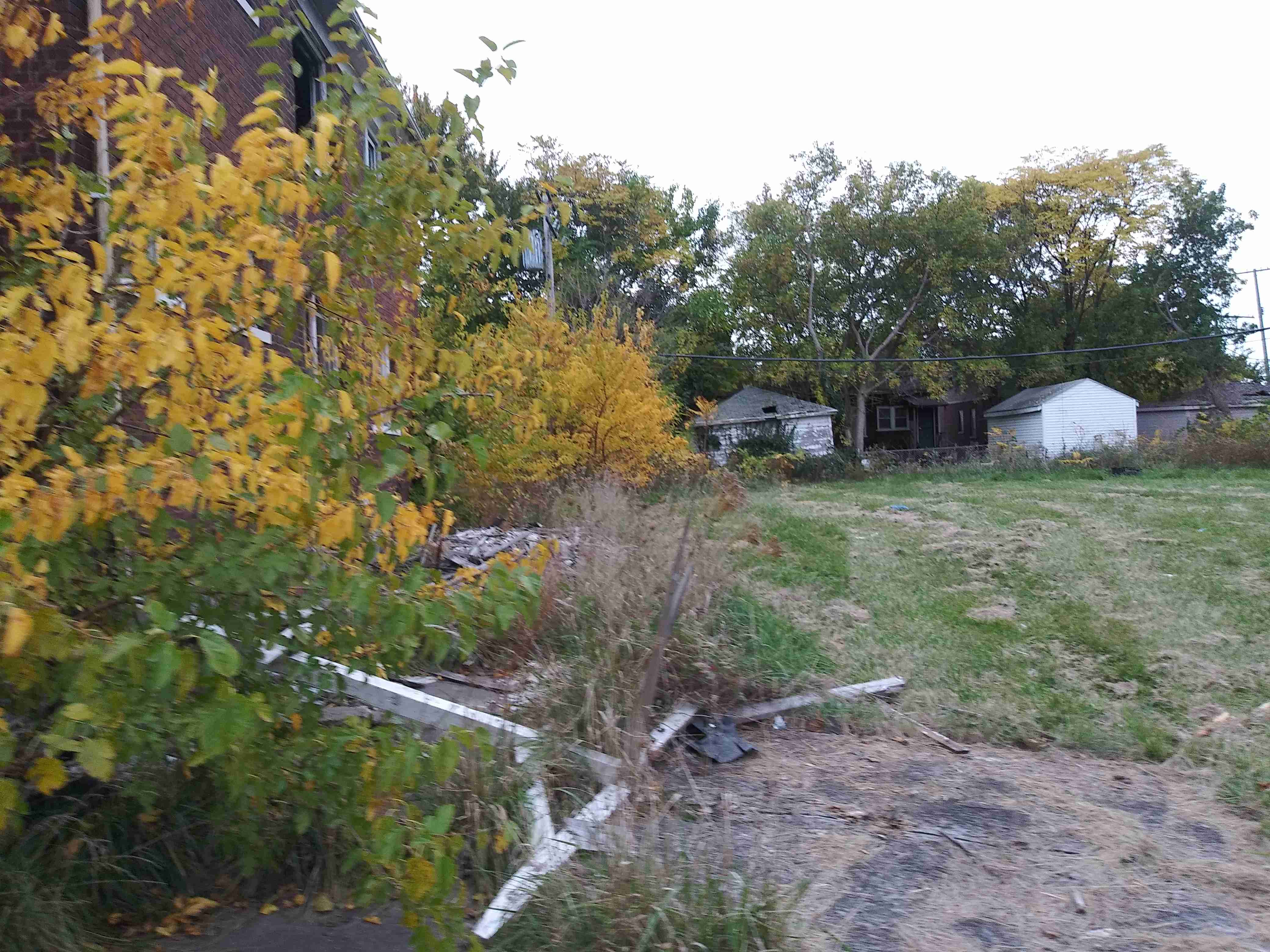 20201014_174706.jpg