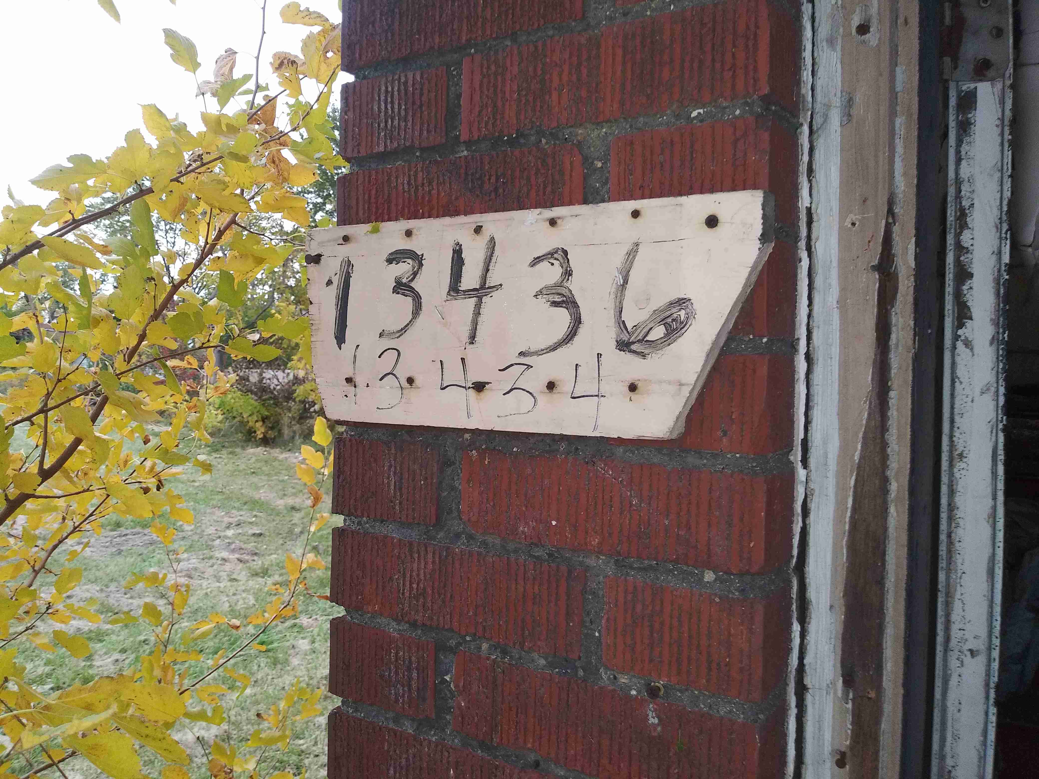 20201014_175117.jpg