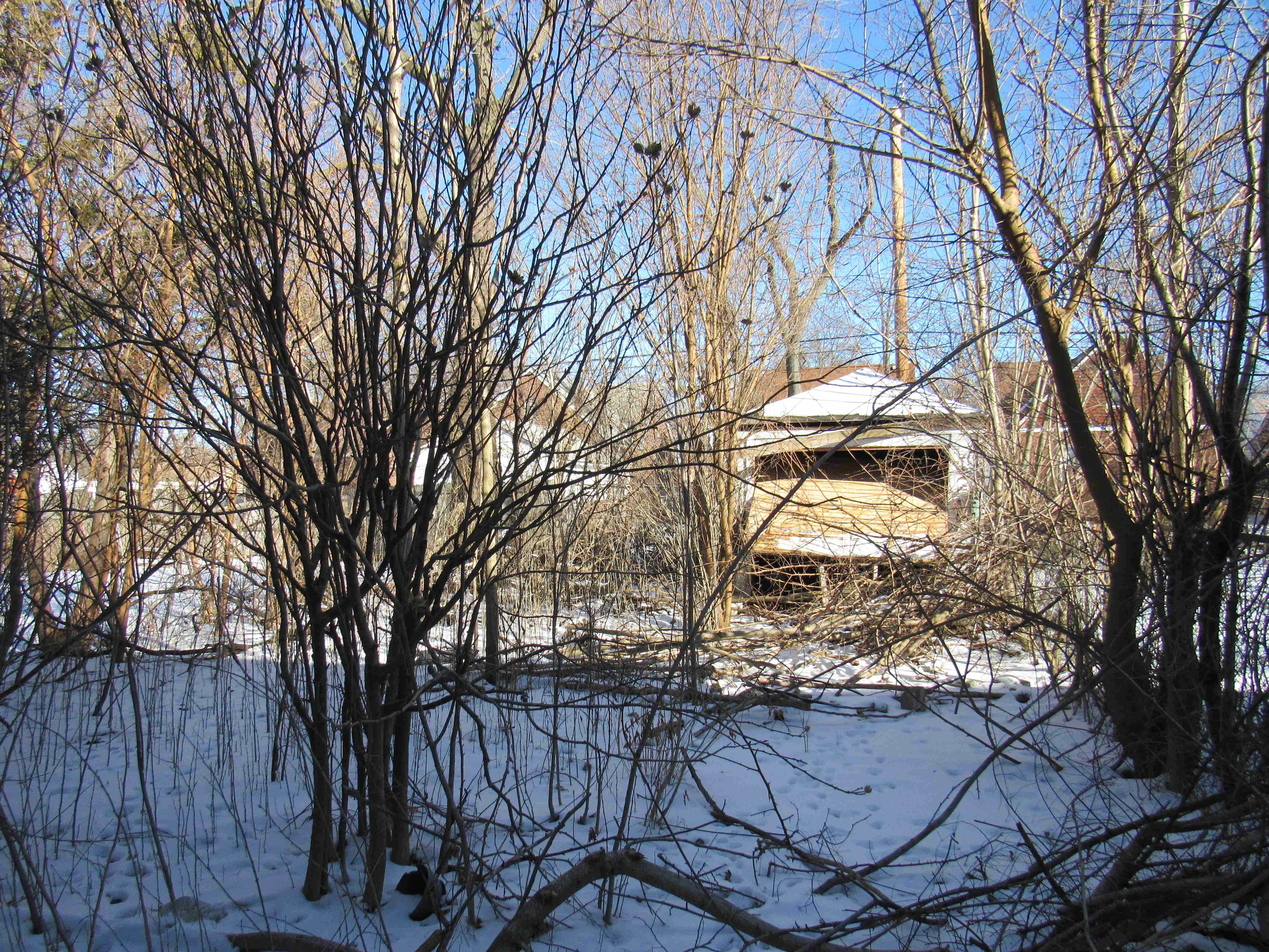 IMG_6294.JPG