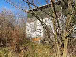 IMG_4266.jpg