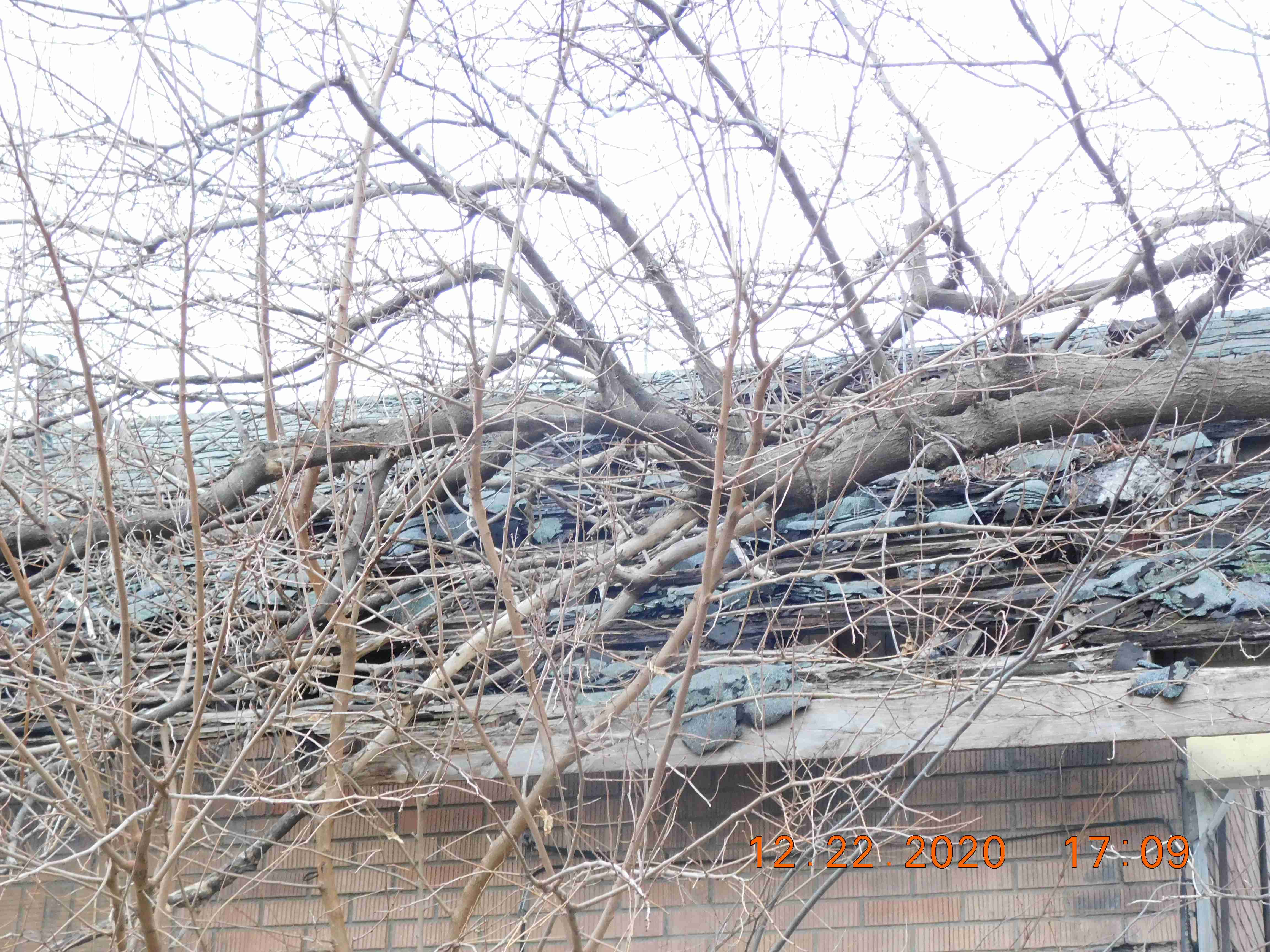 DSCN9672.JPG