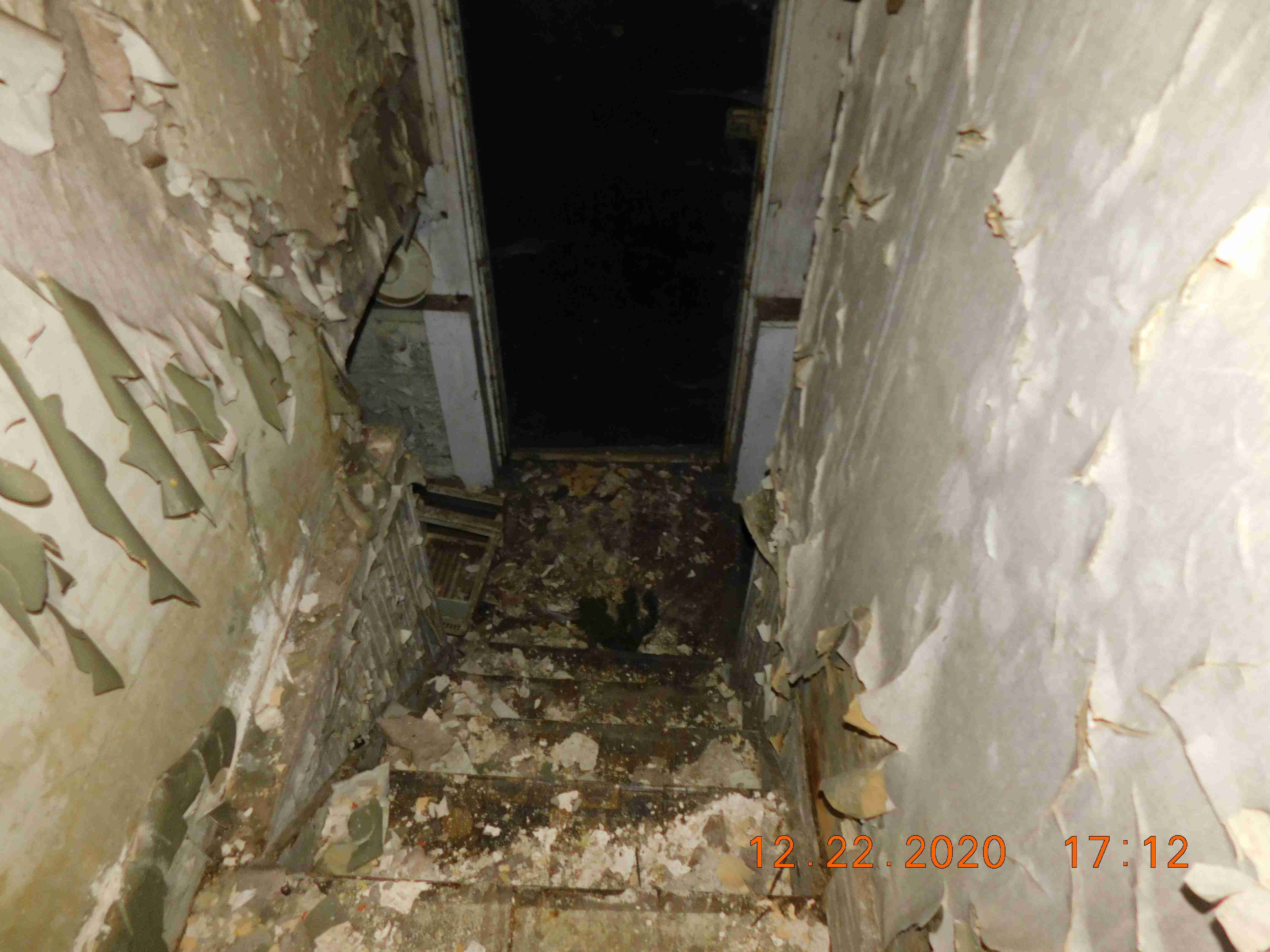 DSCN9683.JPG
