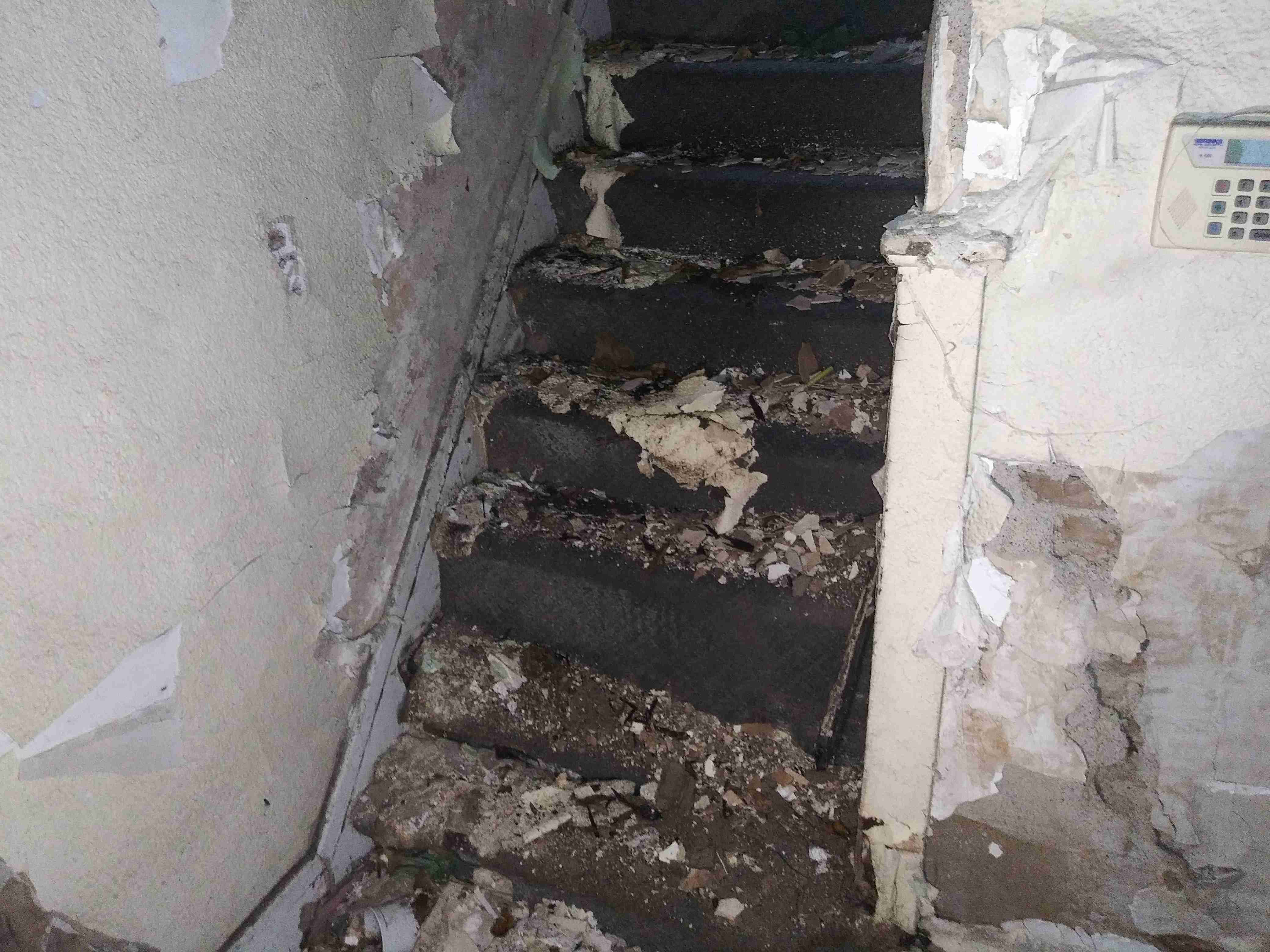 20201212_163217.jpg