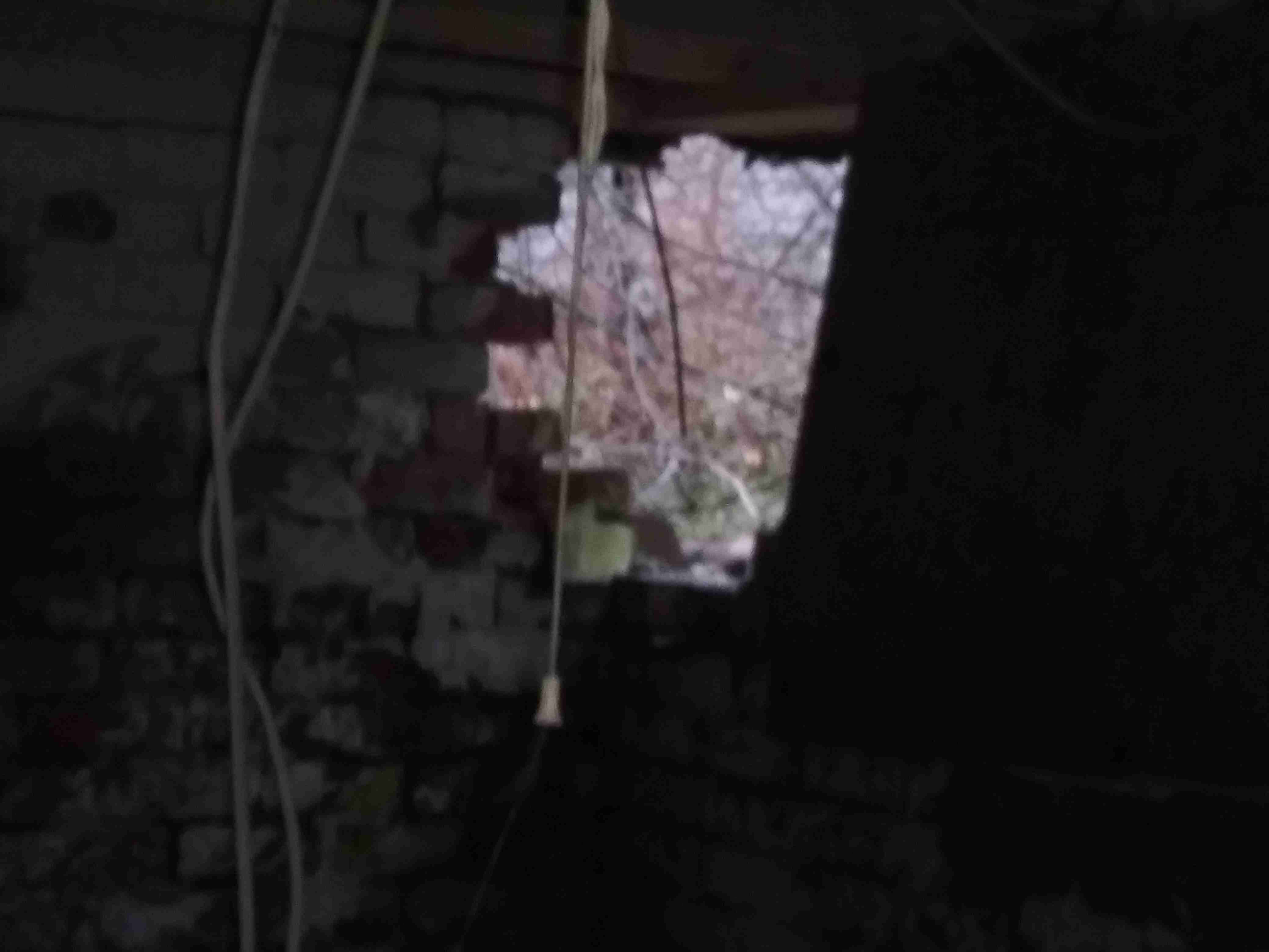20201212_163532.jpg
