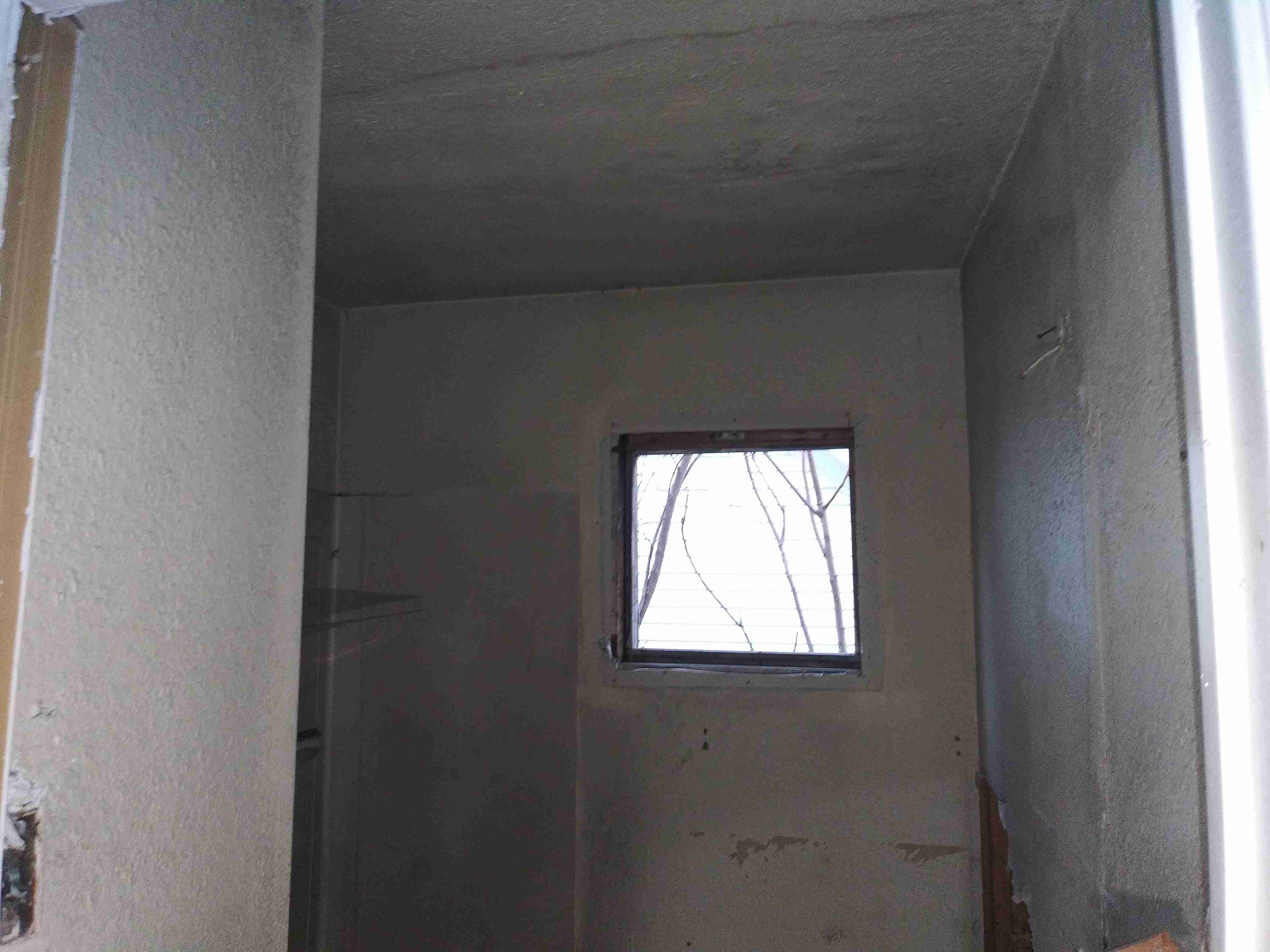 20201212_163619.jpg