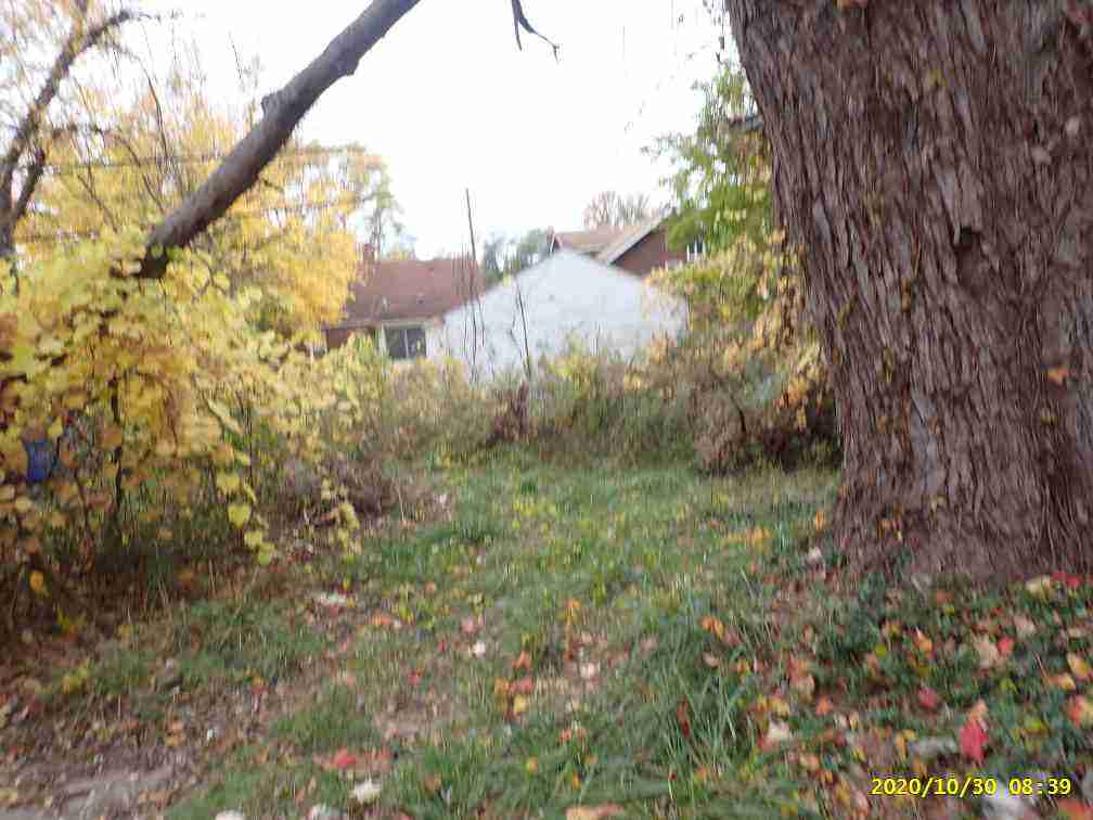 3027318-1_008.jpg