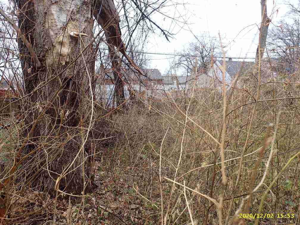 3029271-1_009.jpg