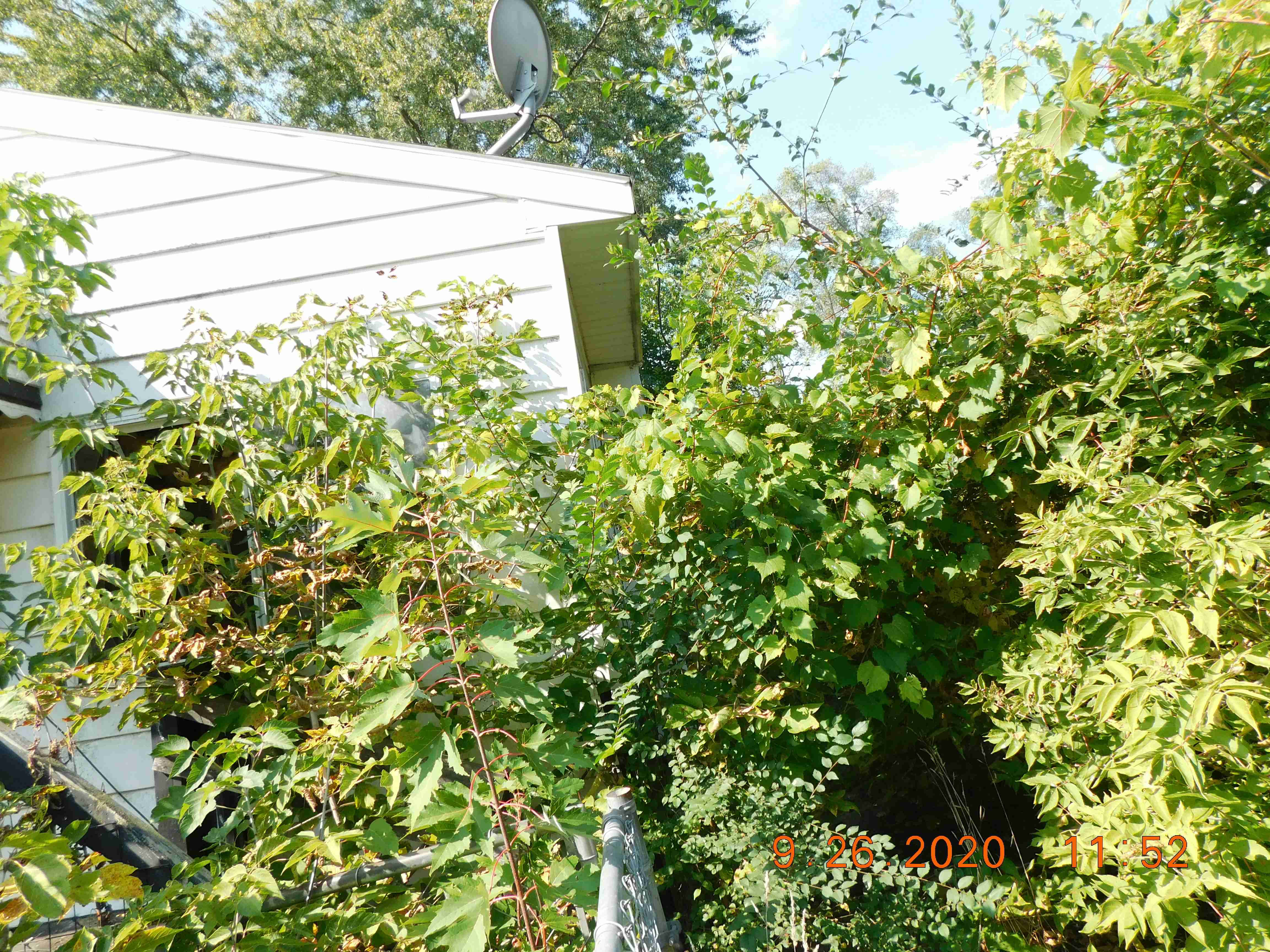 DSCN4878.JPG