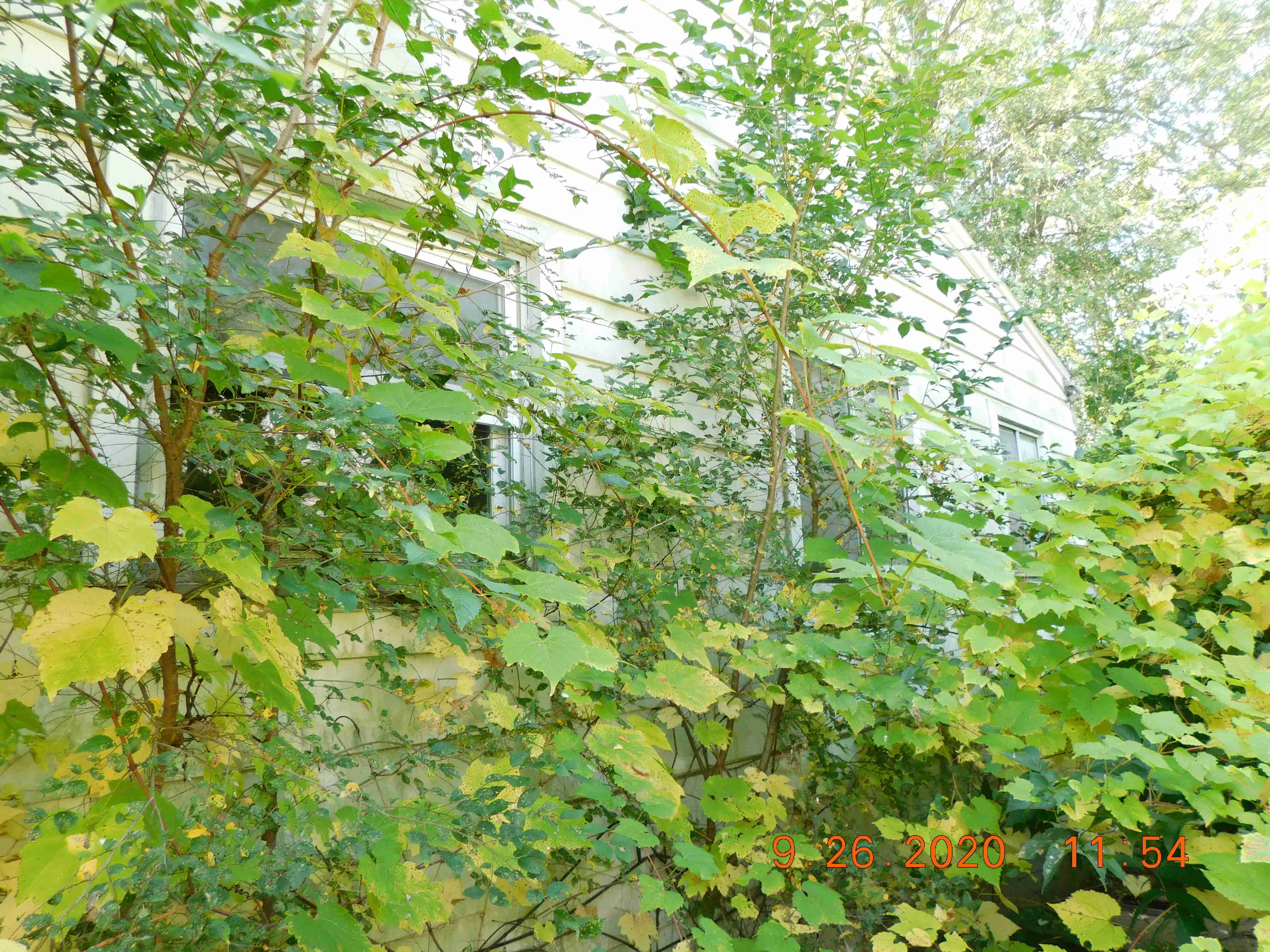 DSCN4879.JPG