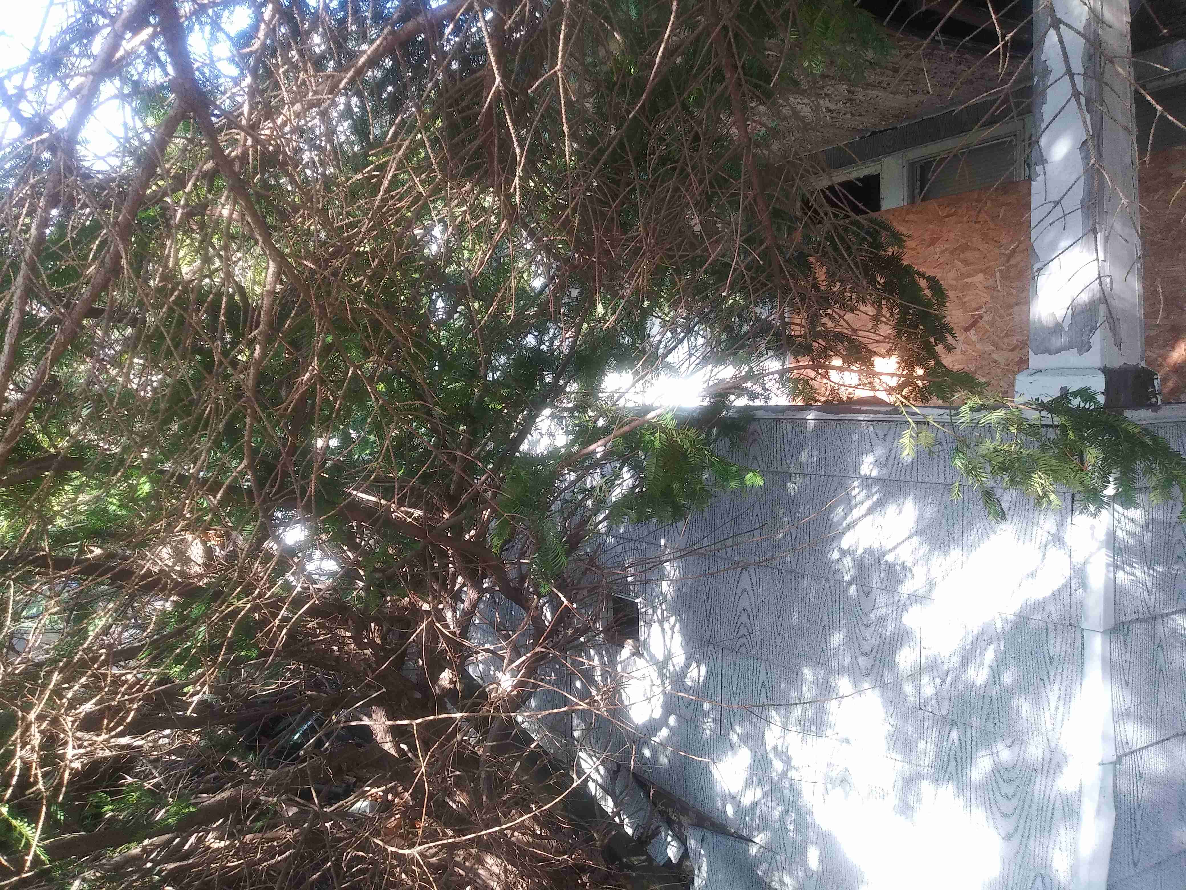 20201211_112405.jpg