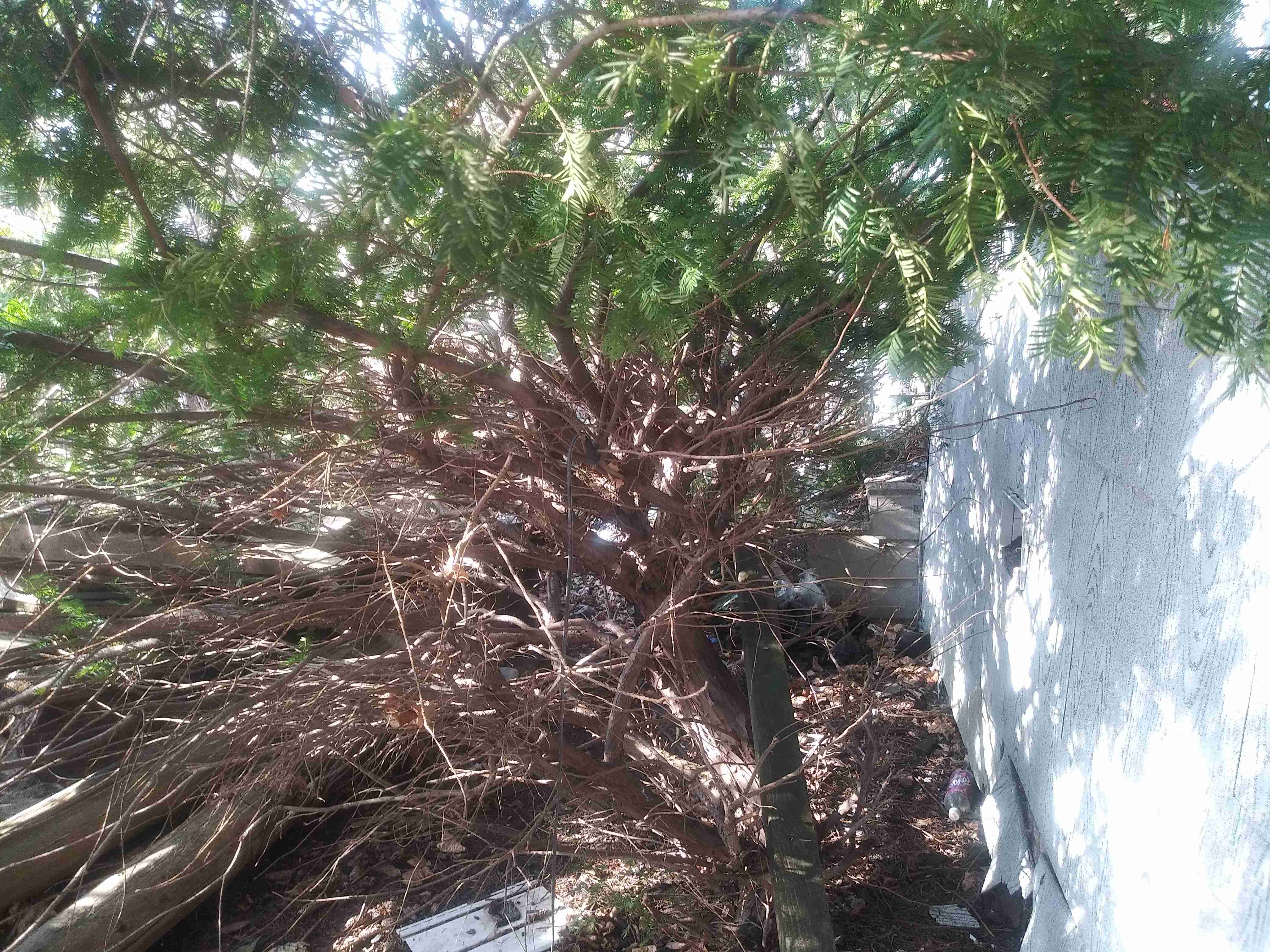 20201211_112422.jpg