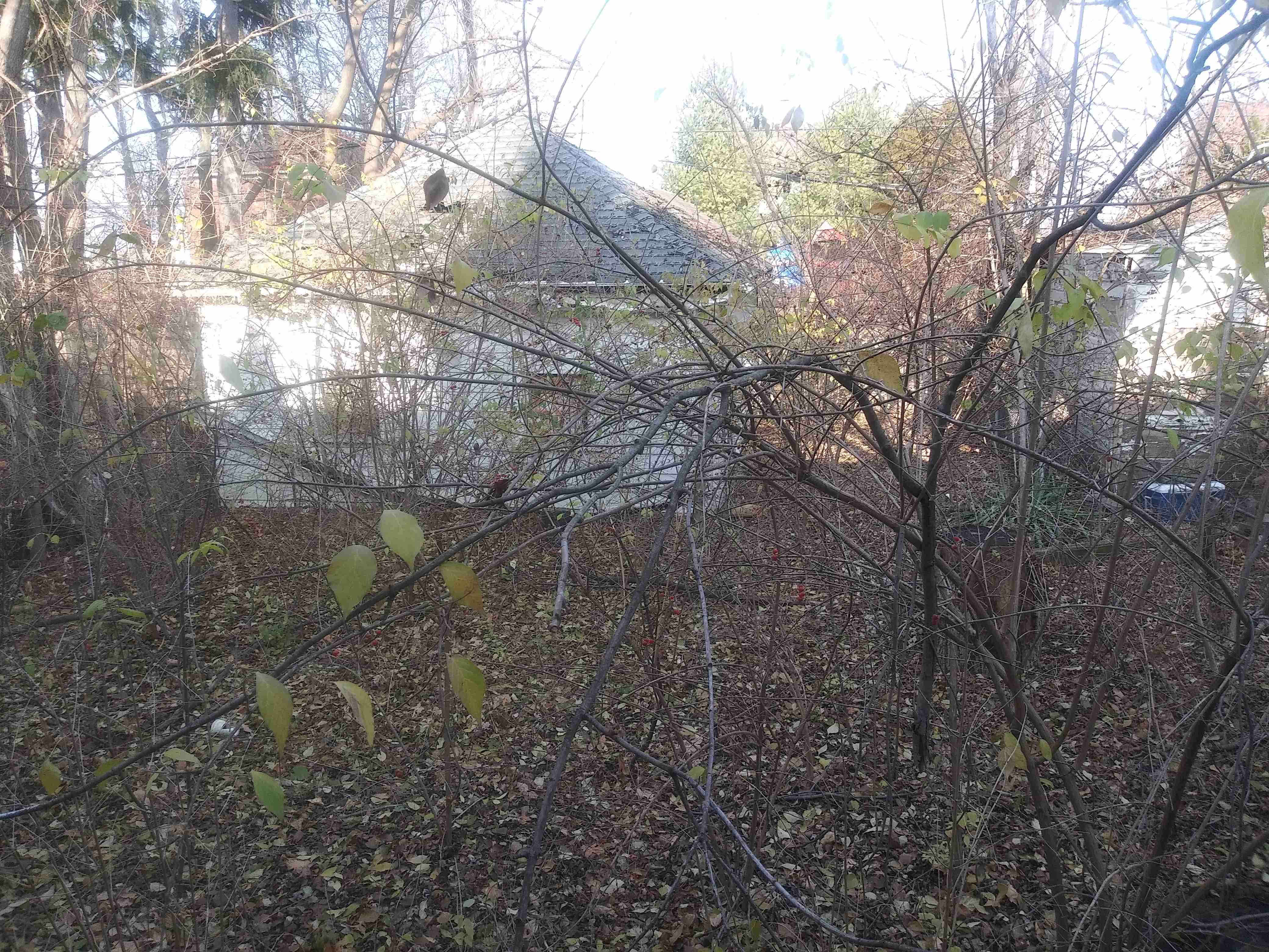 20201211_112943.jpg