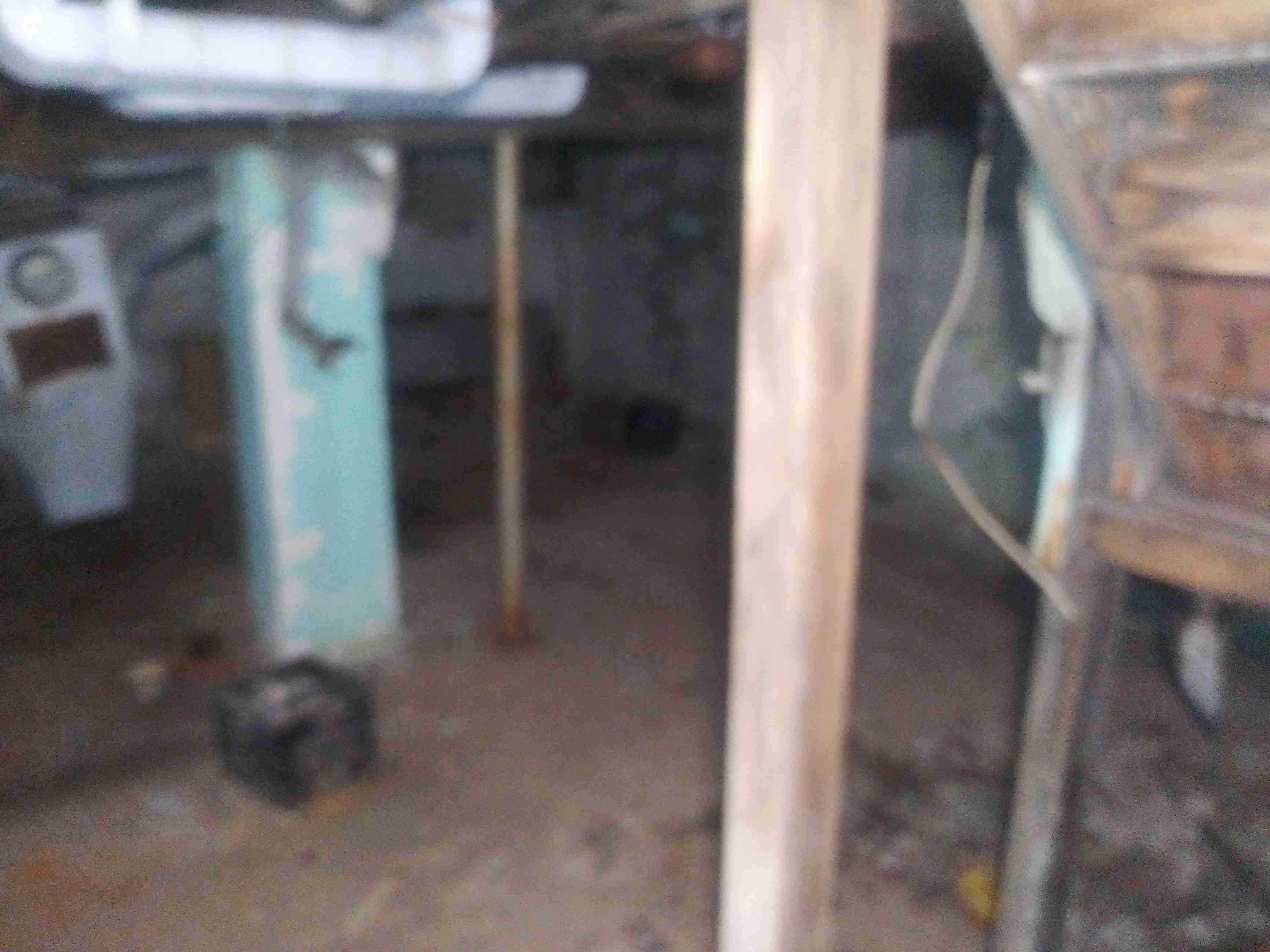 20201211_113012.jpg