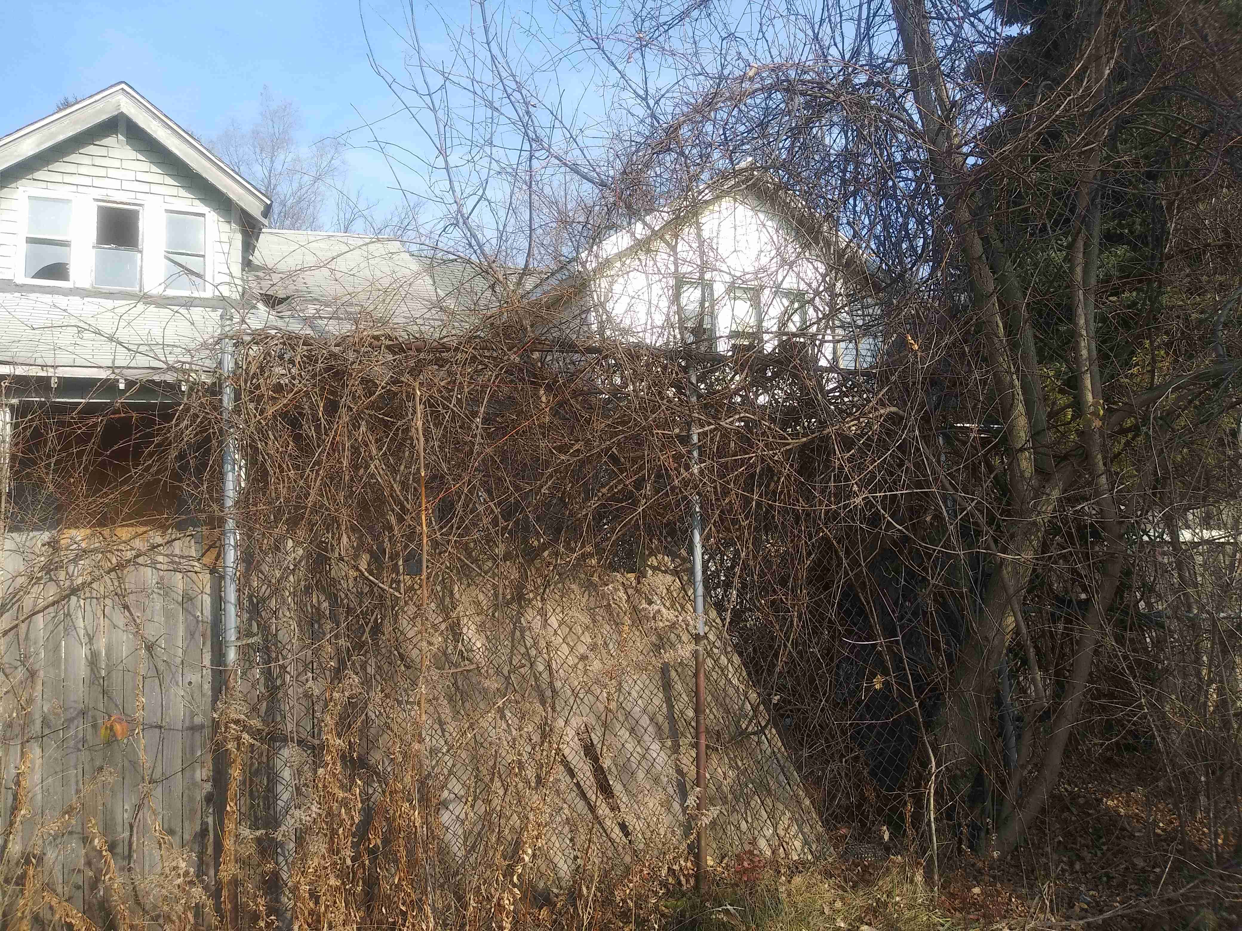 20201211_113057.jpg