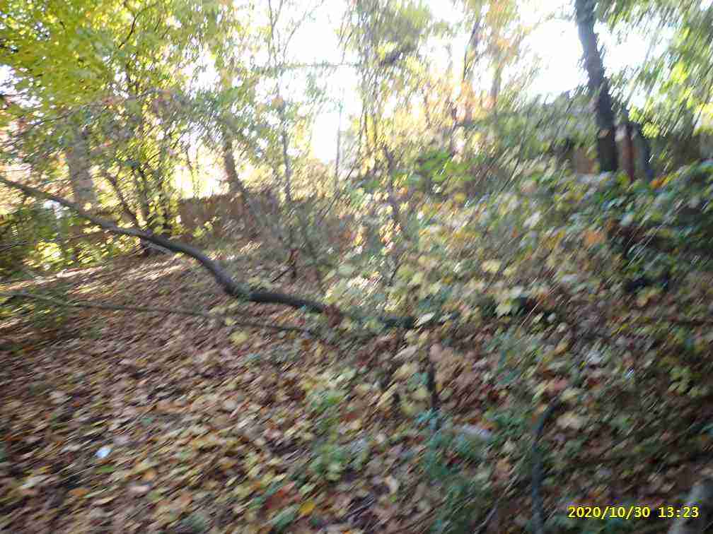 3027249-1_015.jpg