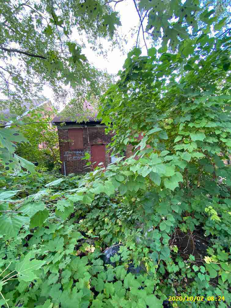 3025110-1_007.jpg