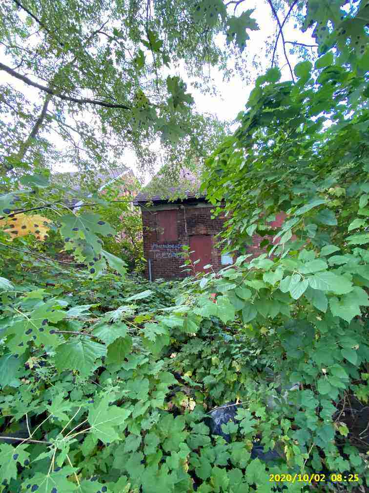 3025110-1_024.jpg