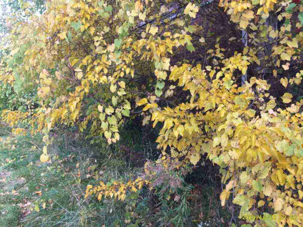 3027085-1_010.jpg
