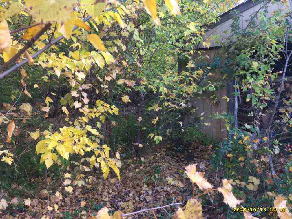 3027085-1_012.jpg