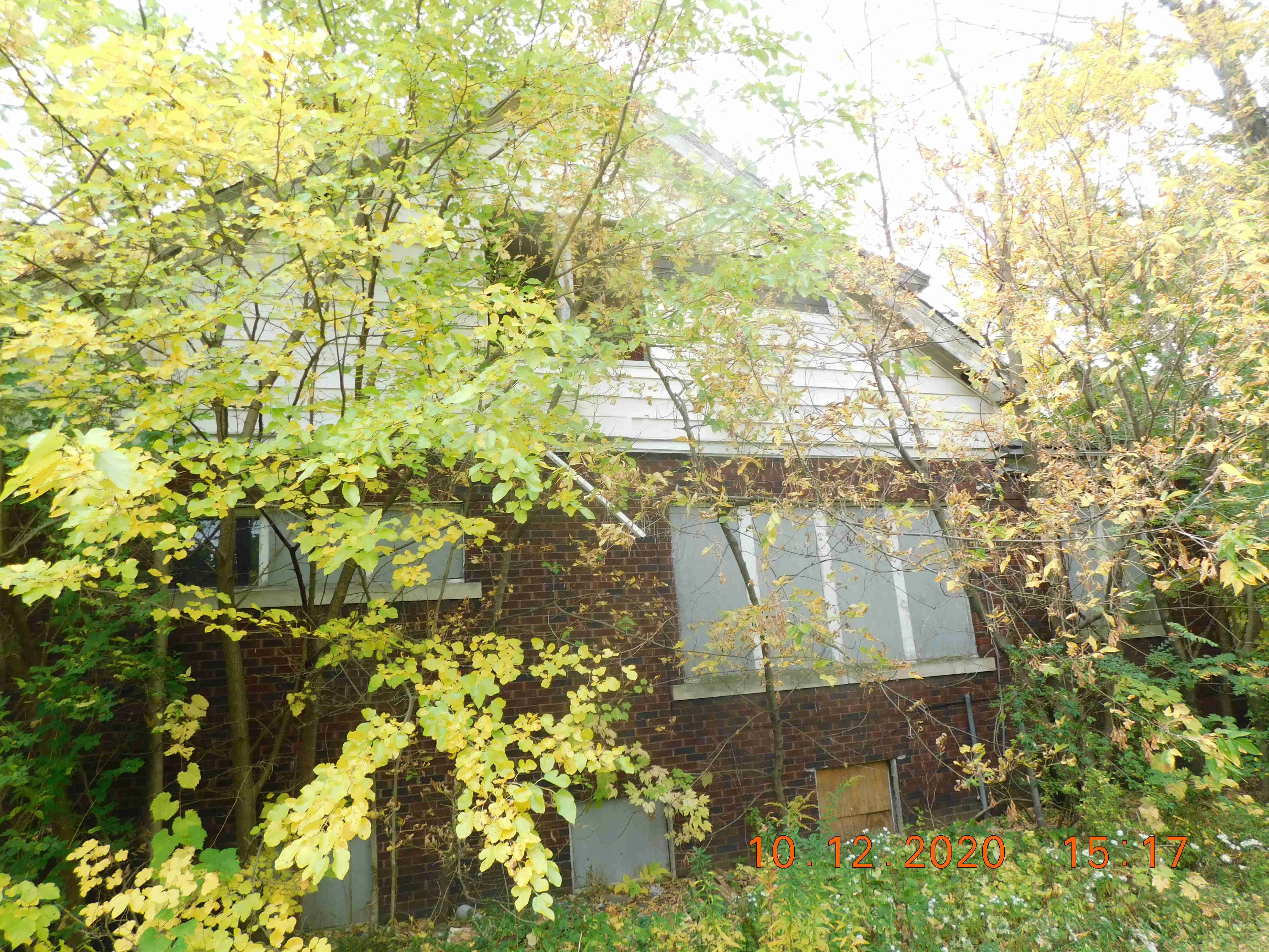 DSCN7236.JPG