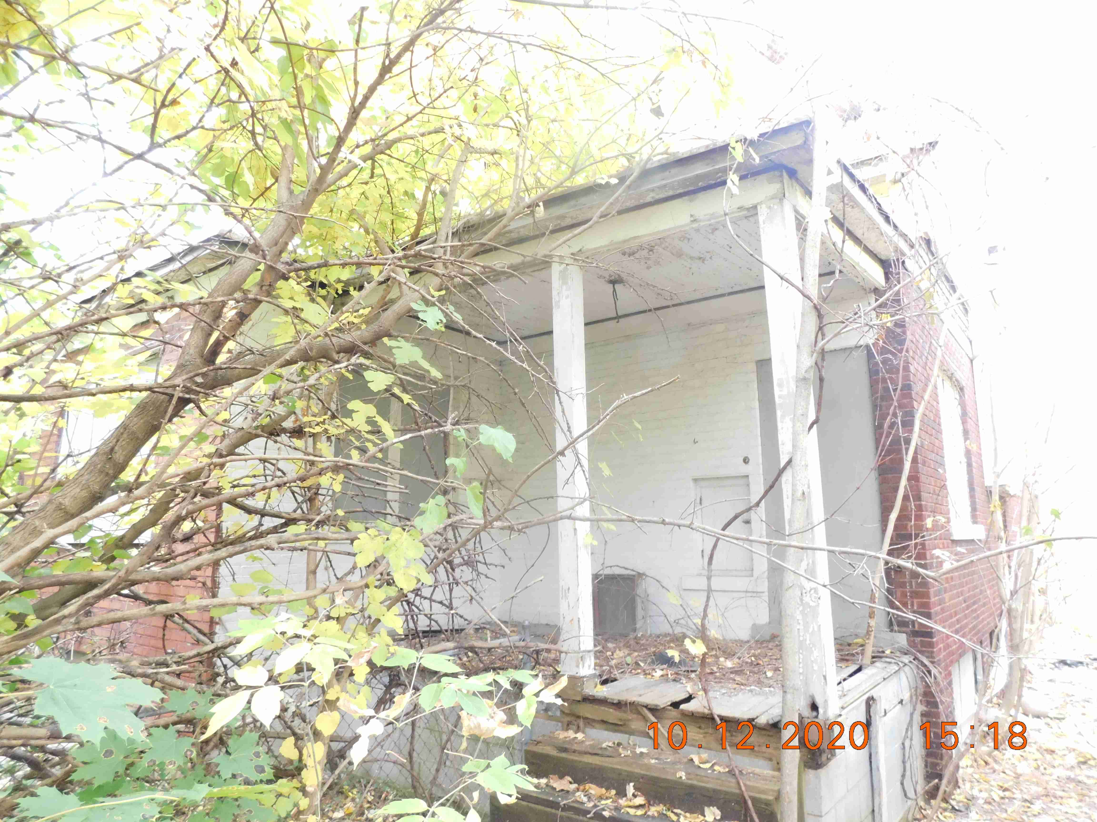 DSCN7238.JPG