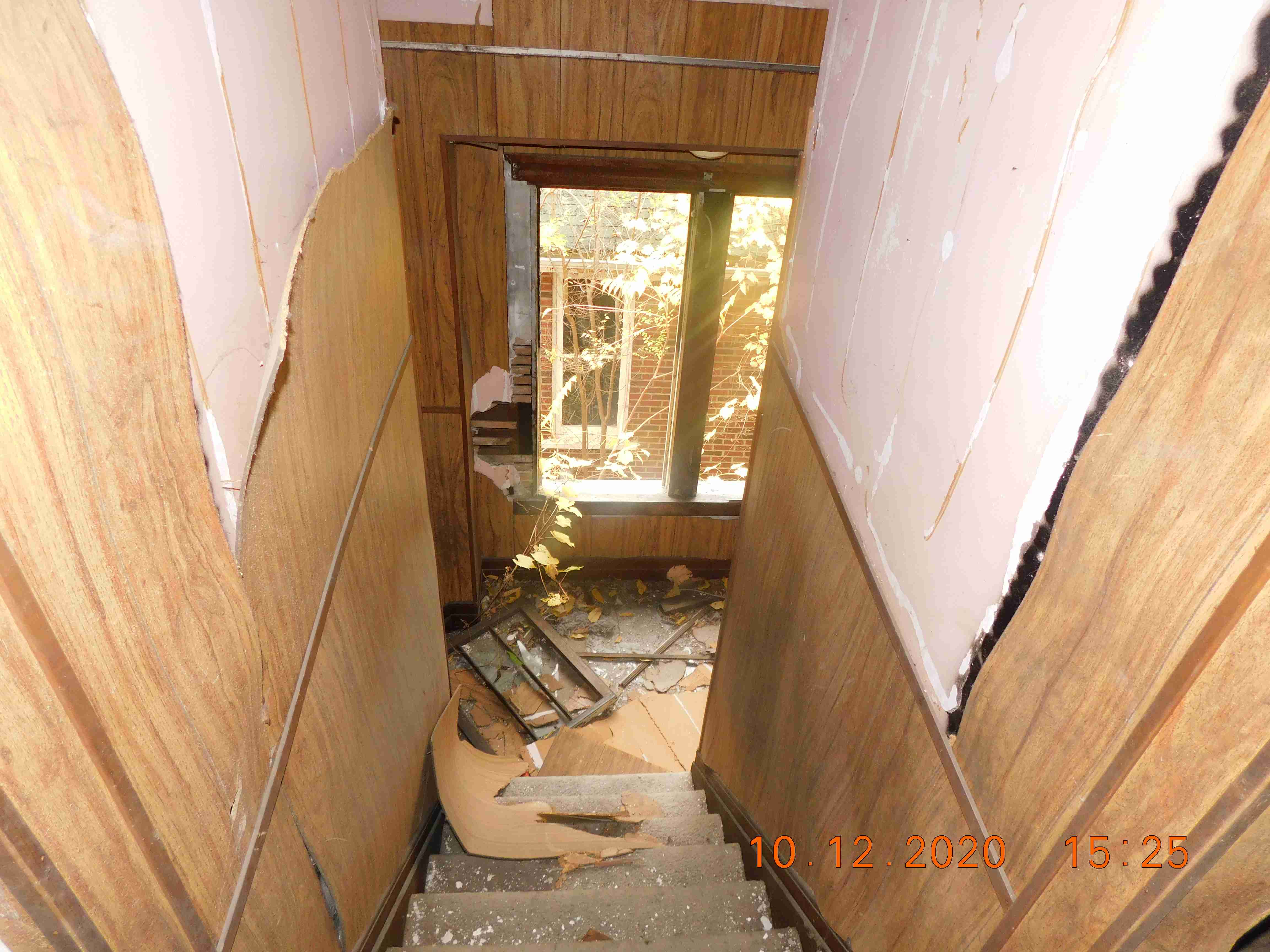 DSCN7252.JPG
