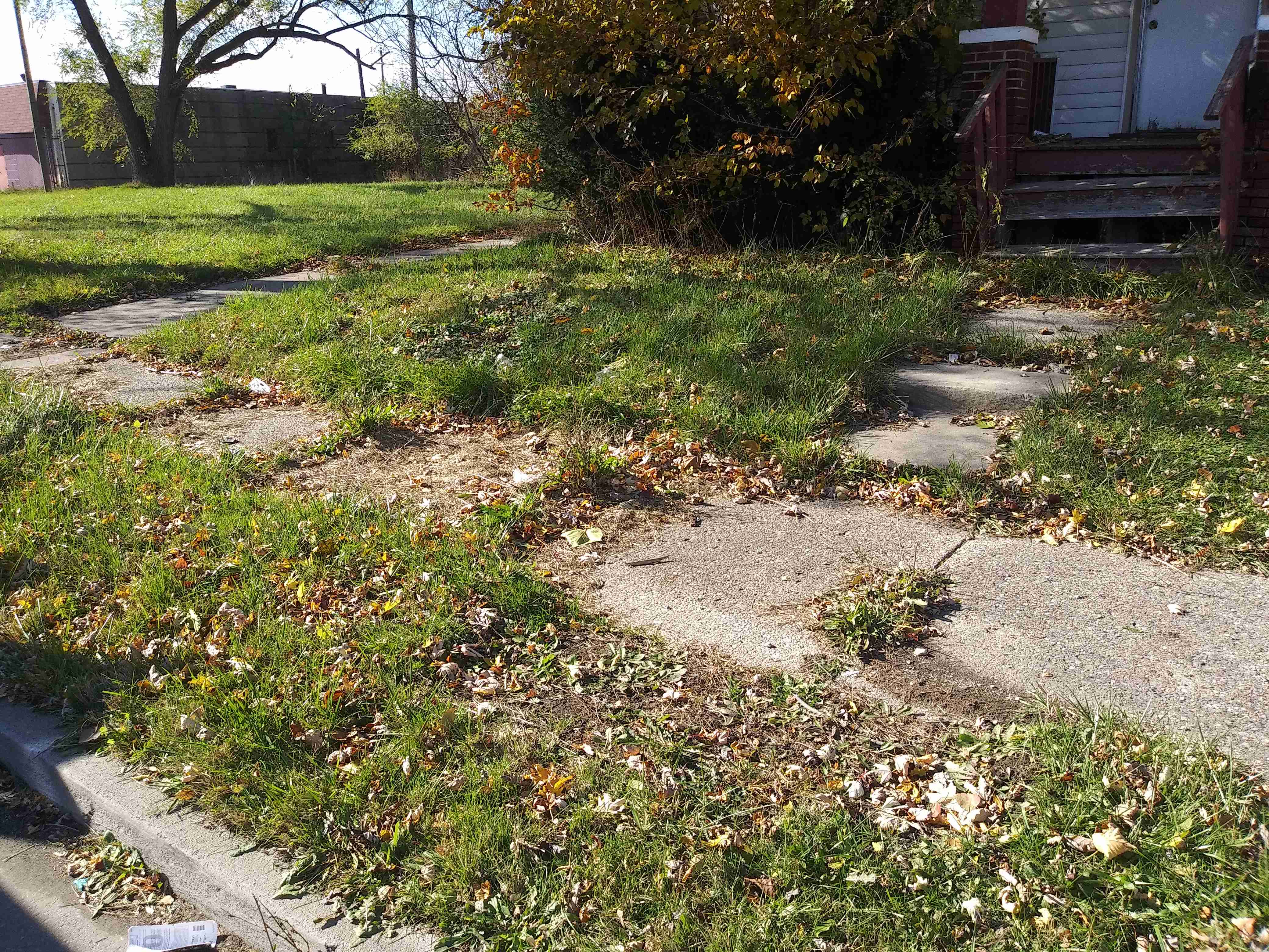 20201102_111049.jpg