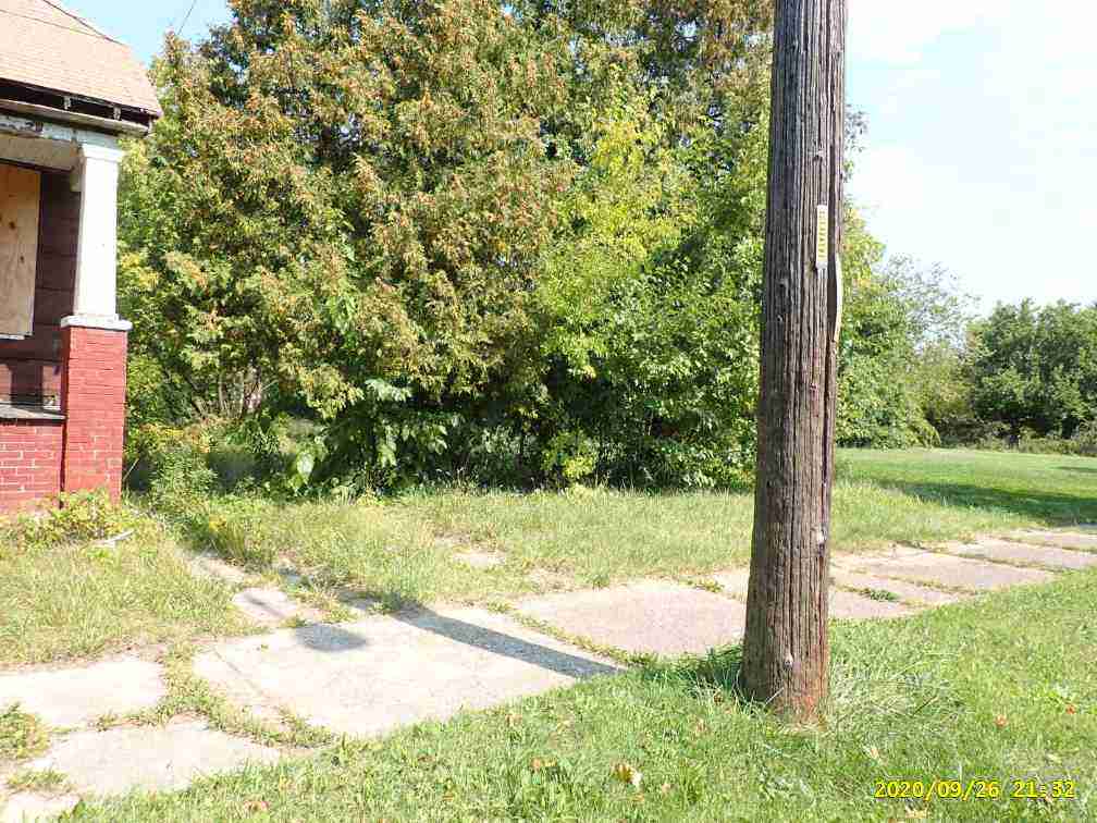 3025011-1_005.jpg
