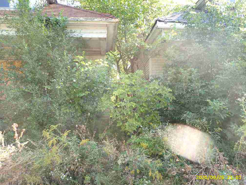 3024990-1_012.jpg