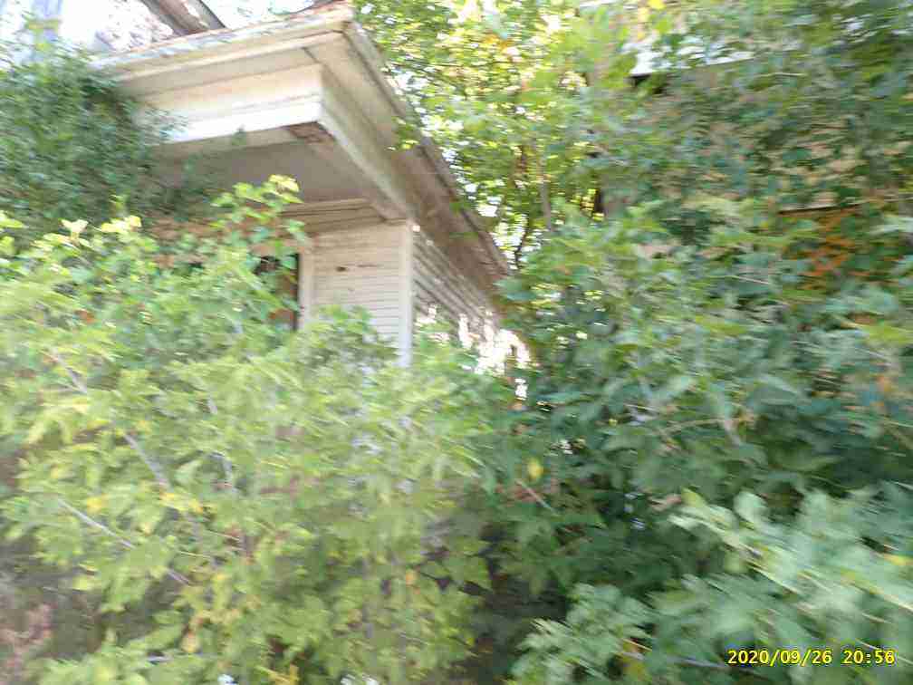 3024991-1_009.jpg