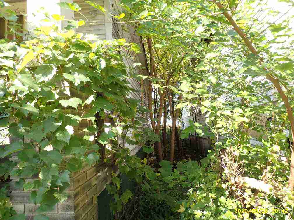 3024993-1_005.jpg