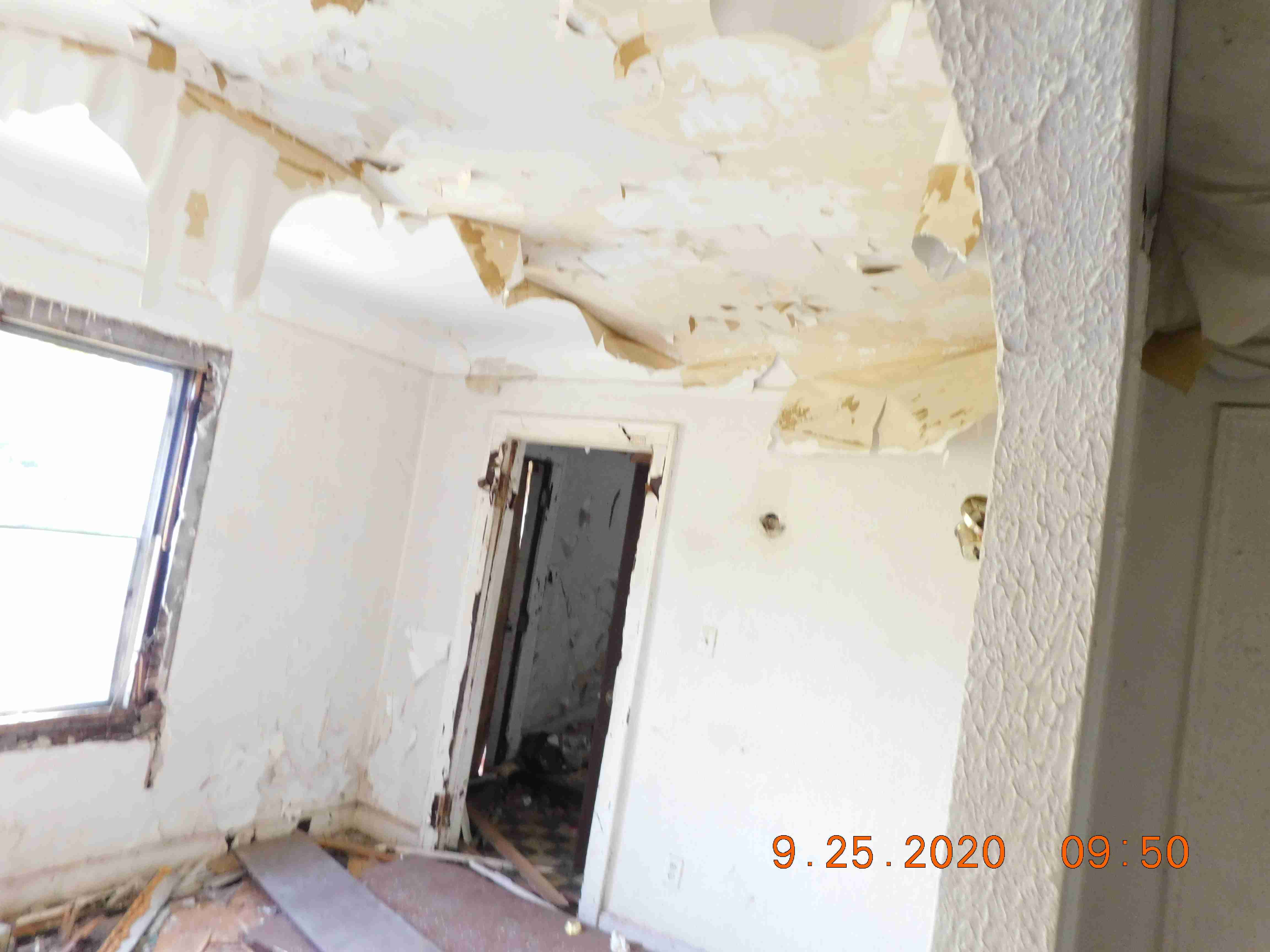 DSCN4533.JPG