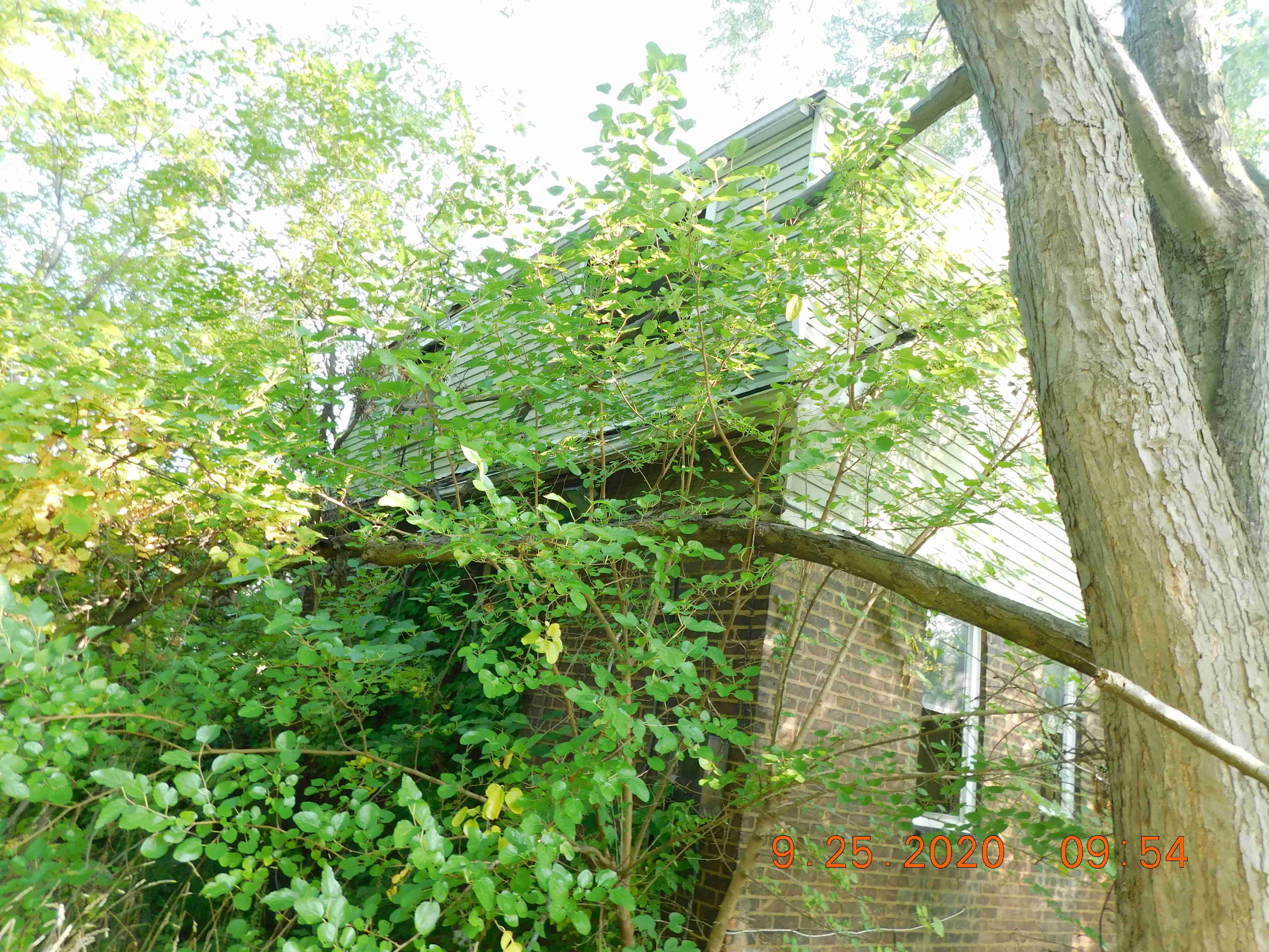 DSCN4557.JPG
