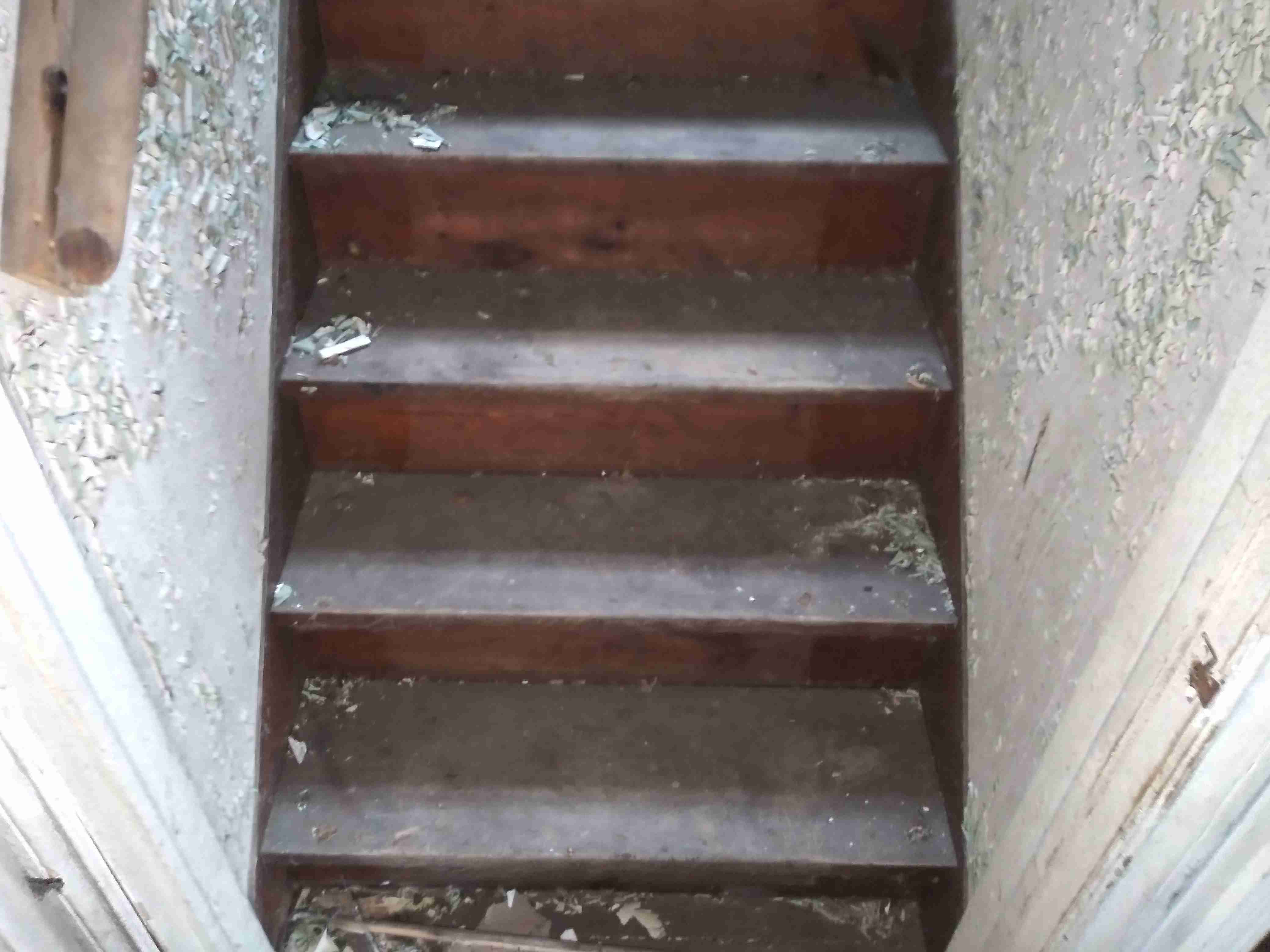 20210318_121225_HDR.jpg