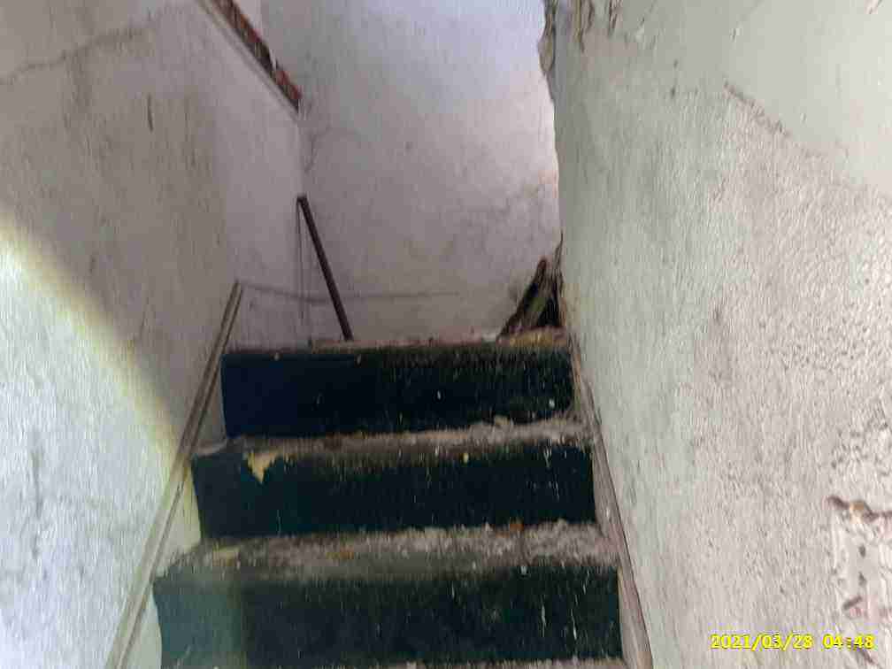 3037131-1_026.jpg