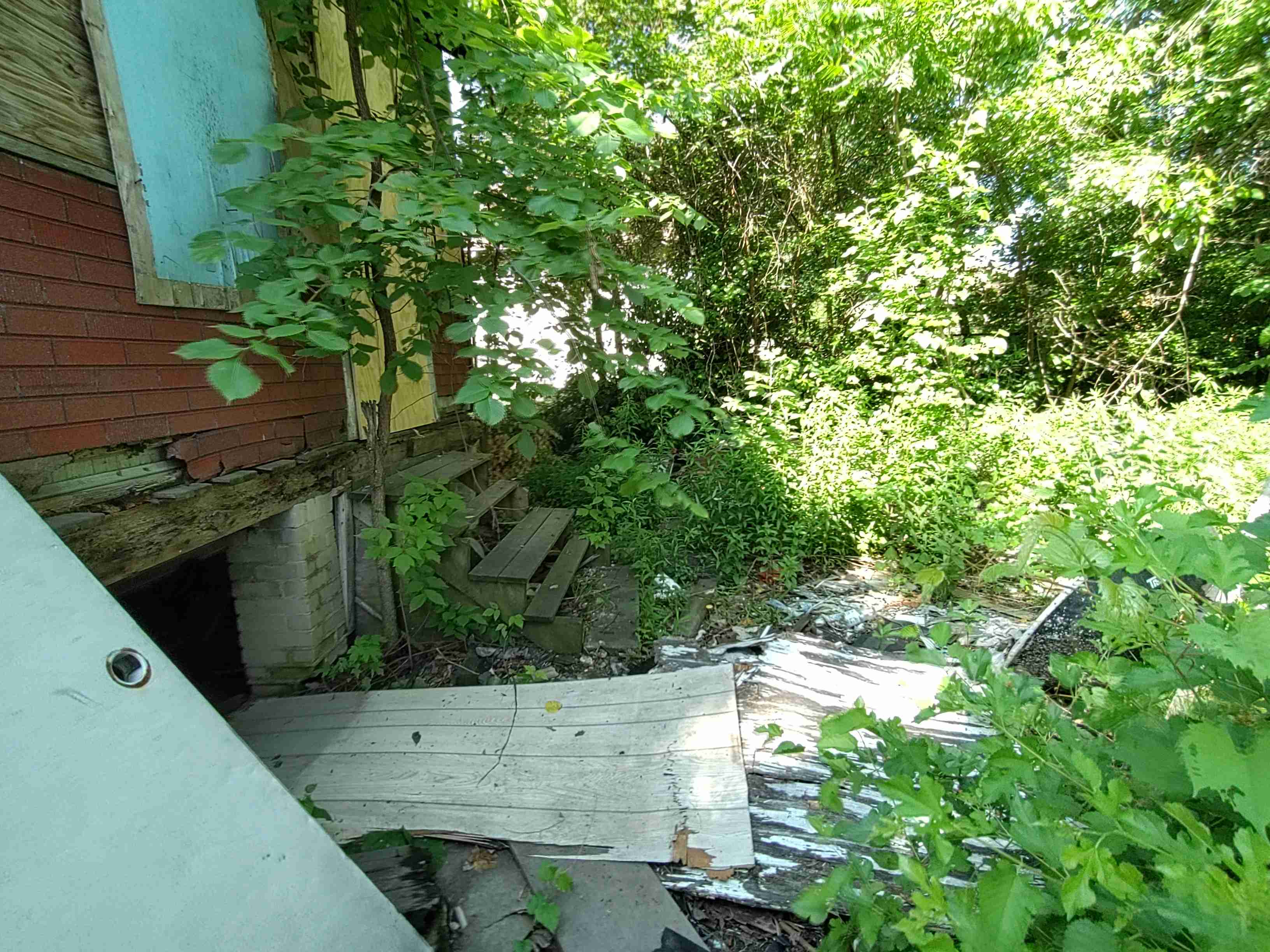 4375148_0011.jpg
