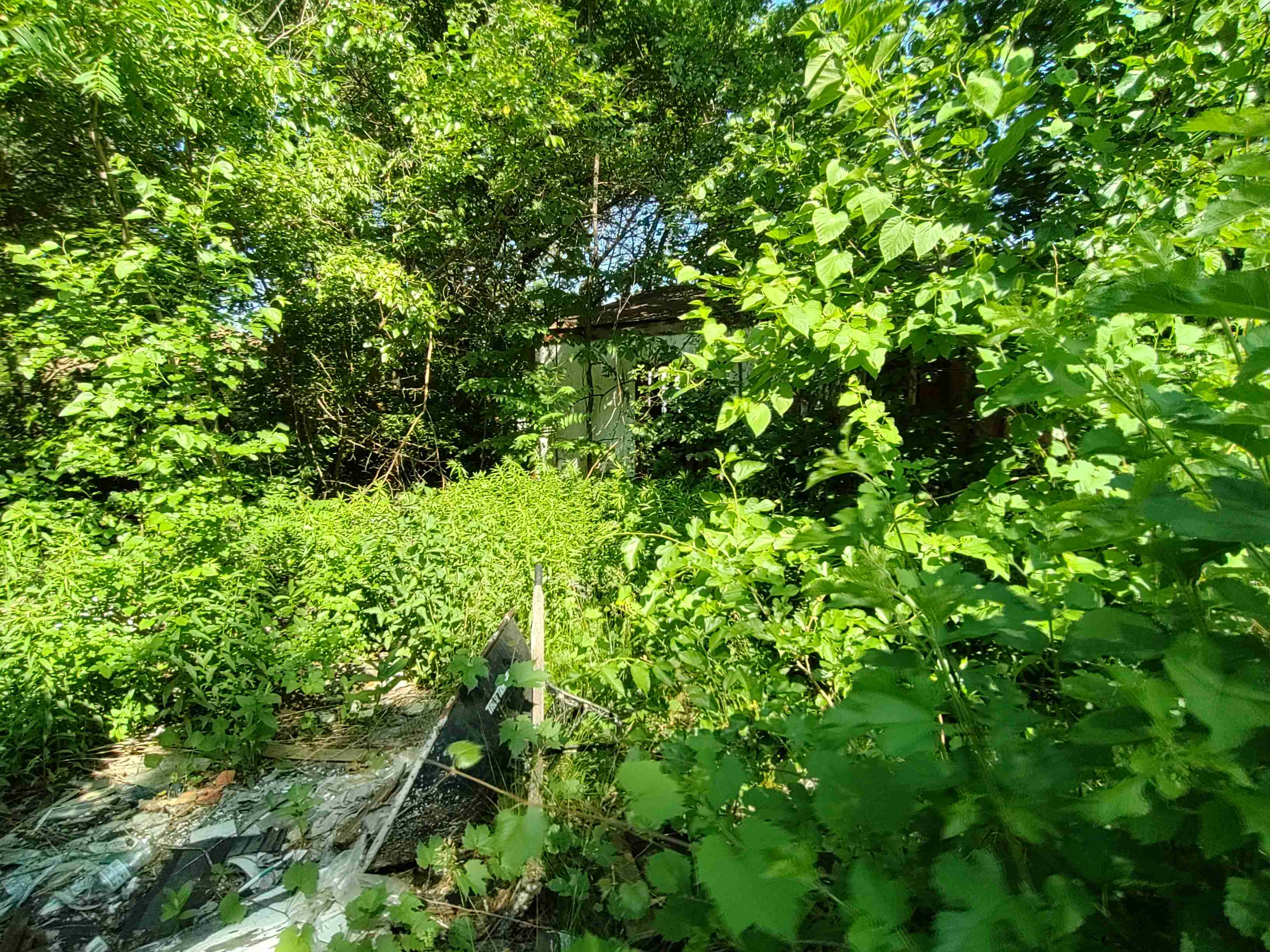 4375148_0012.jpg